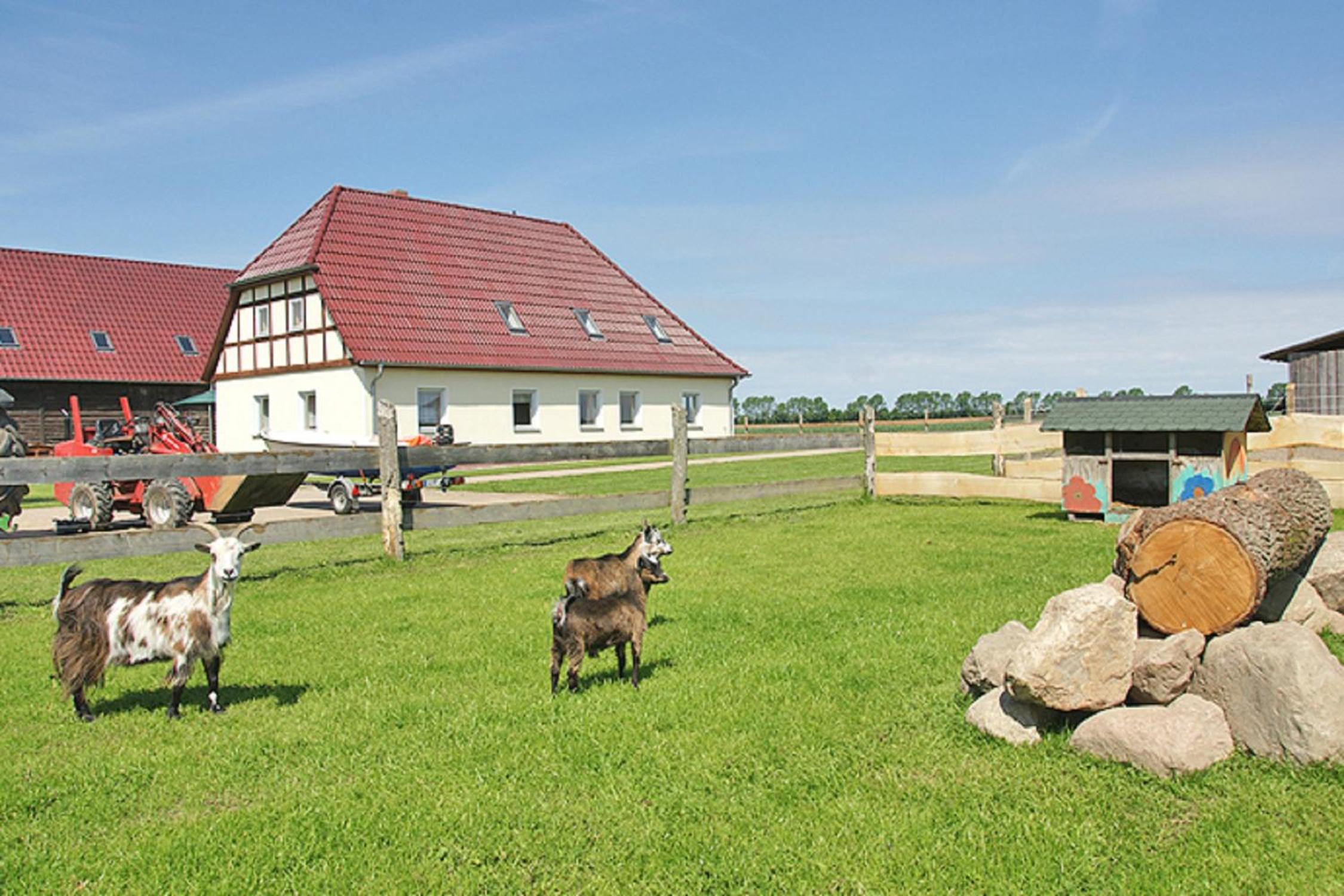 Ferienhof Willi