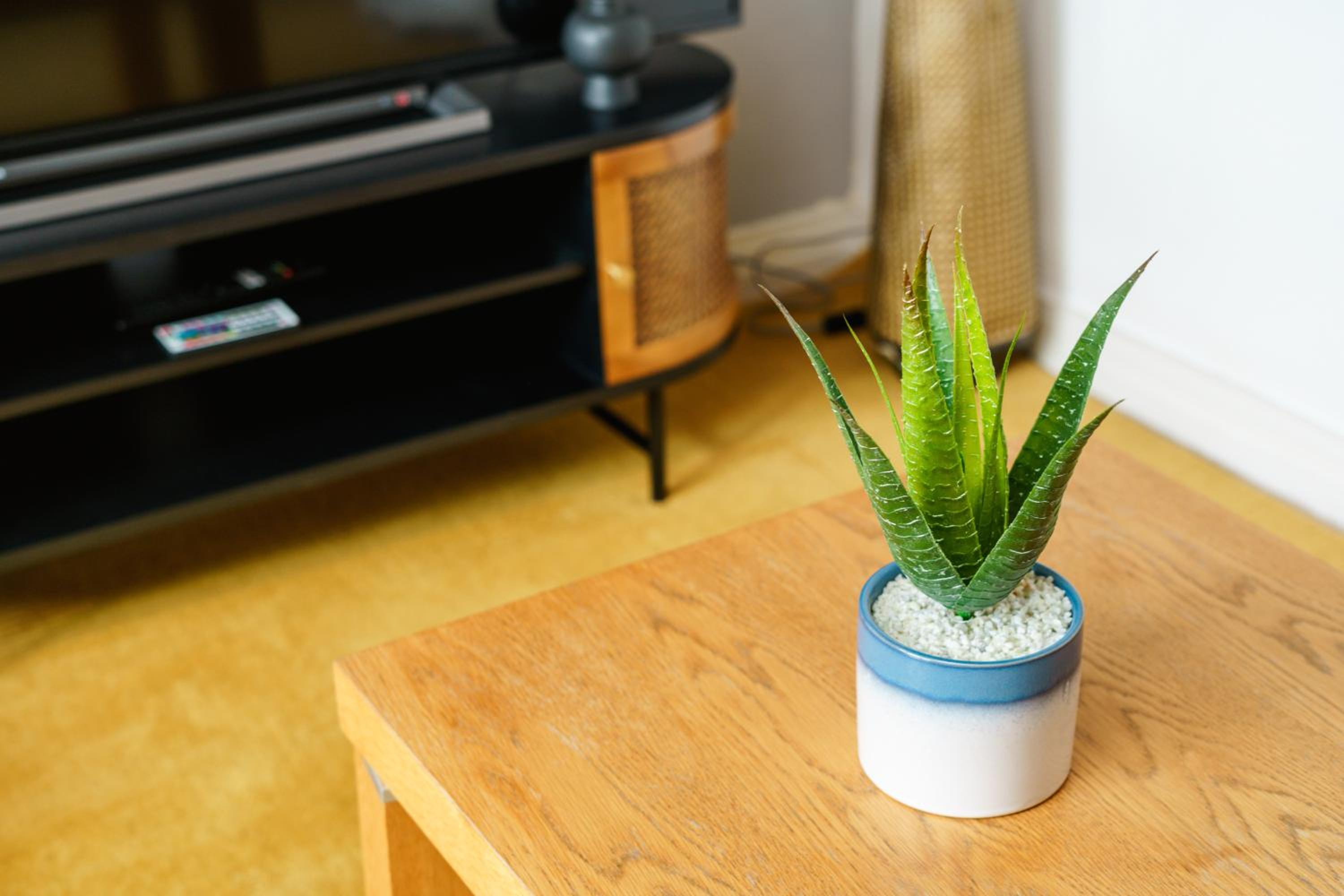 Cosy Flat right opp tube station
