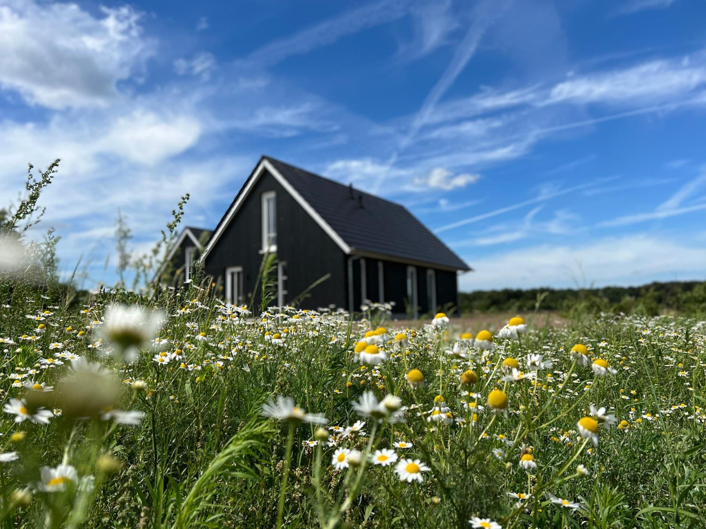 Reggehoeve