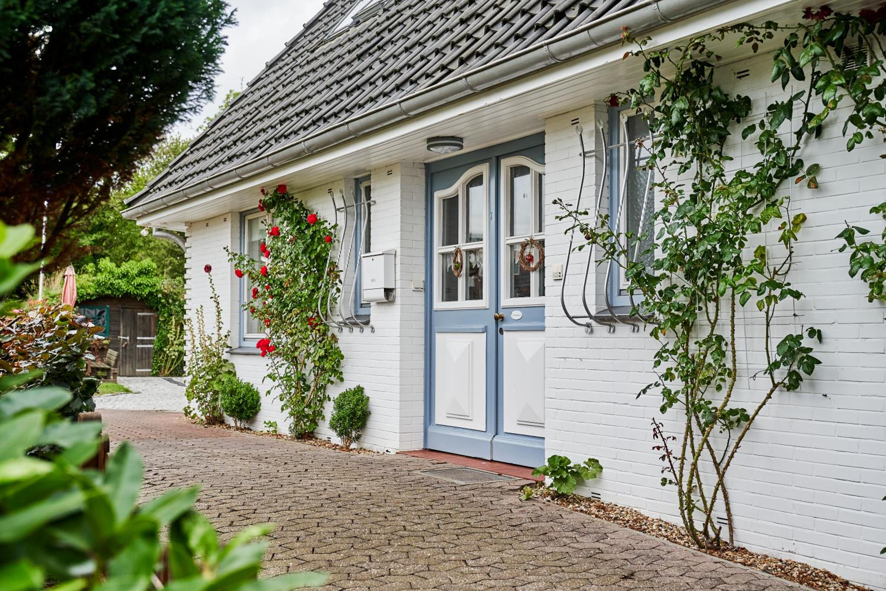 Küstenheide