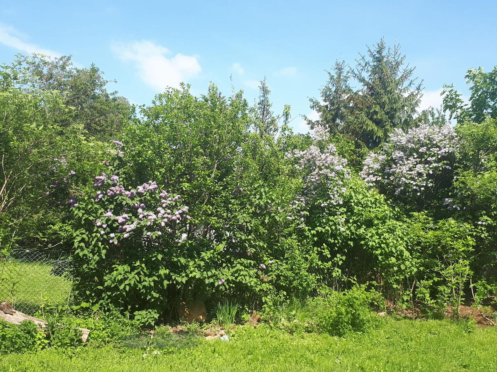 Iluska Vendégház