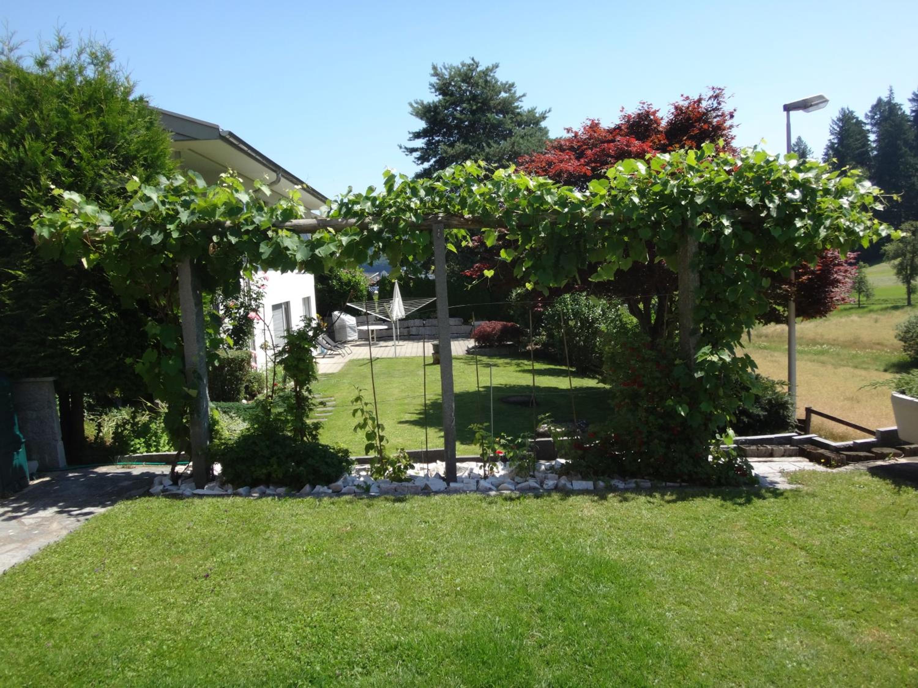 Photo 49