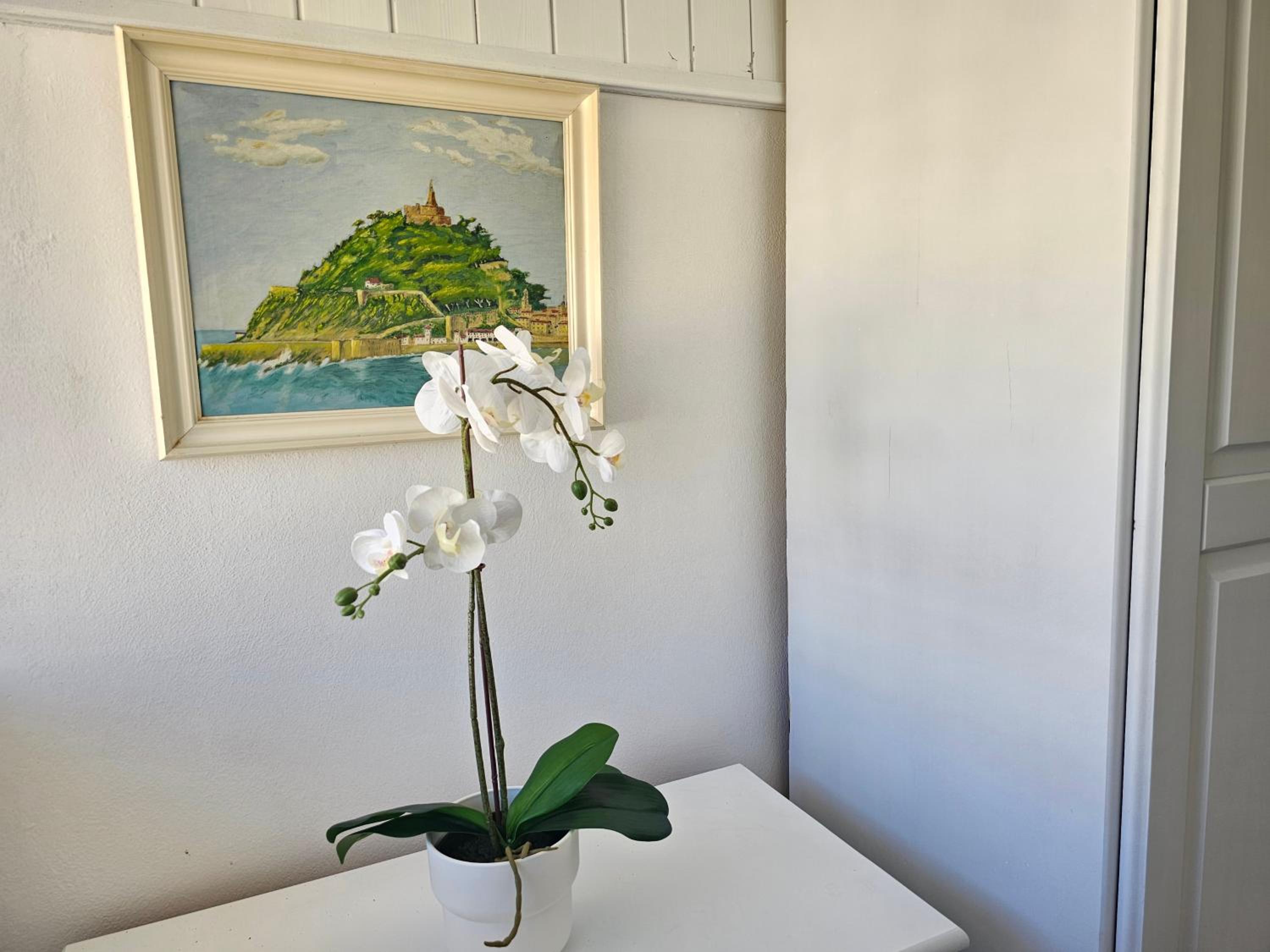 NEW POSITIVE VIBES HOLIDAYS HOME, Playa de las Americas, Tenerife