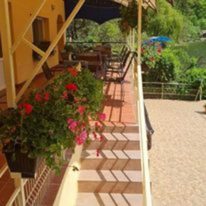 balance & terrace