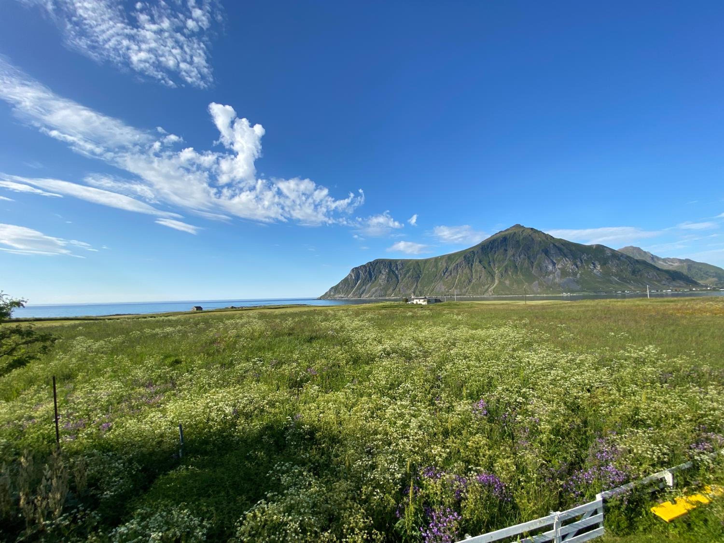 Flakstad Beach Panorama Lofoten