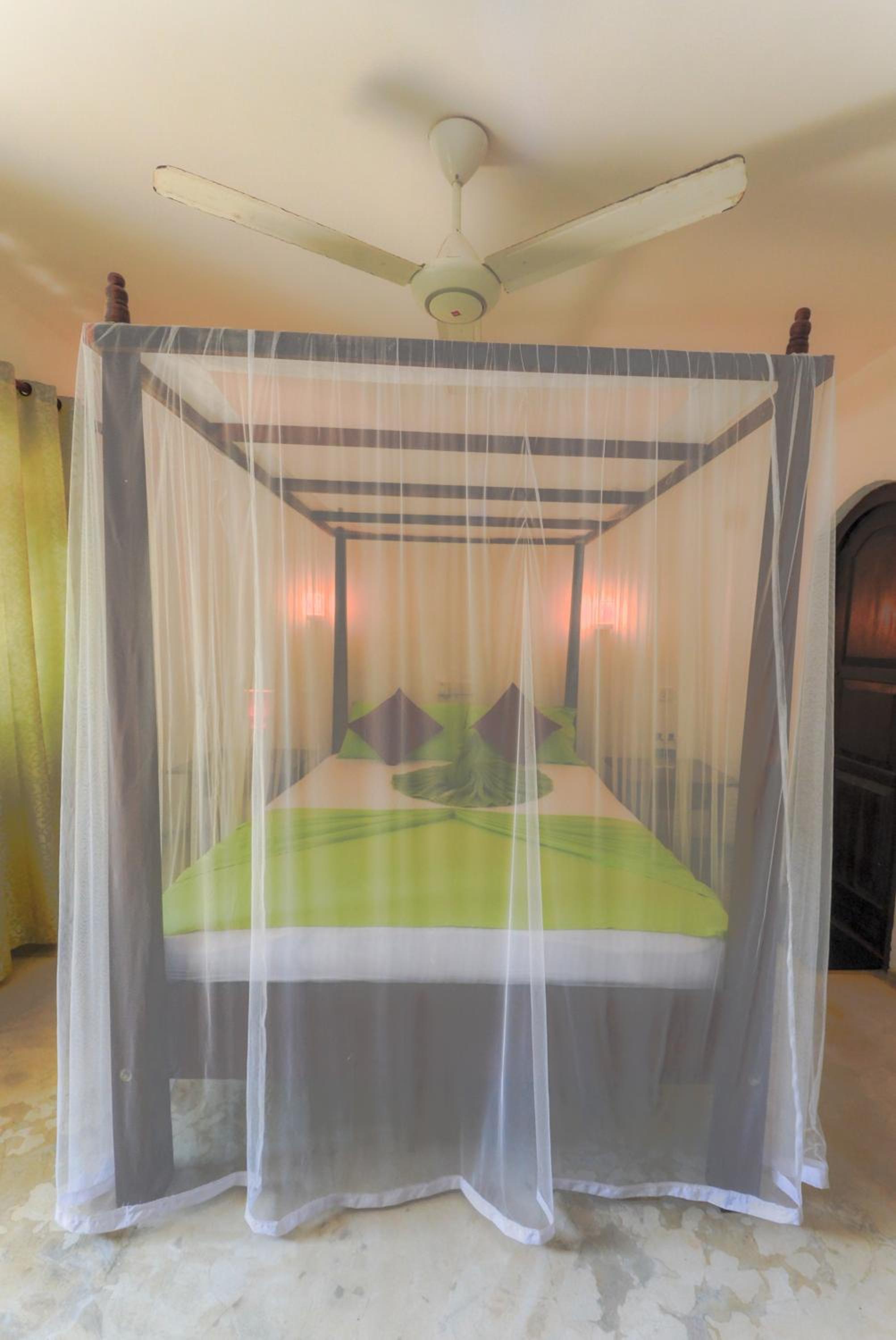 Palm Garden Guest House view 3