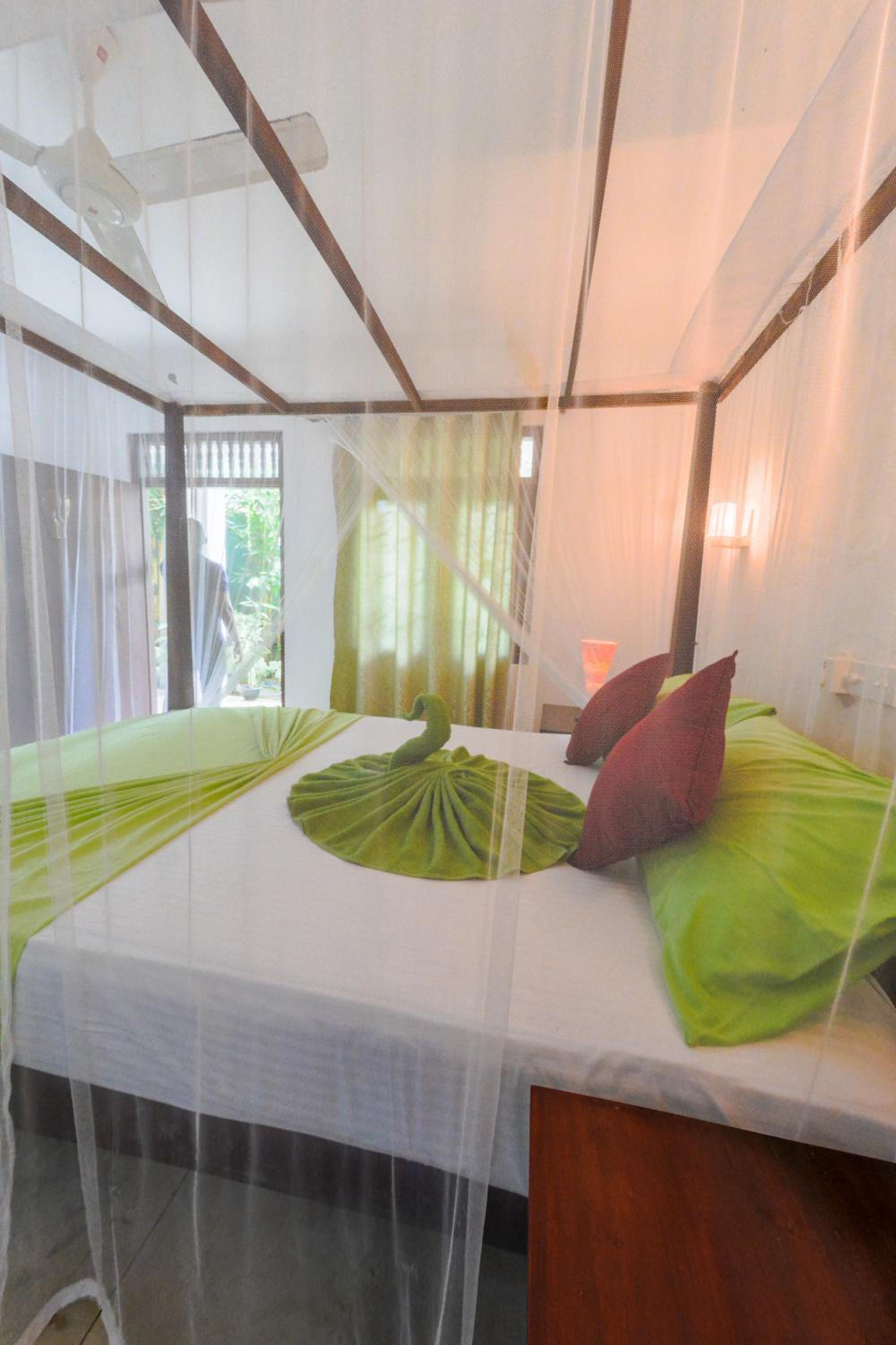 Palm Garden Guest House view 5