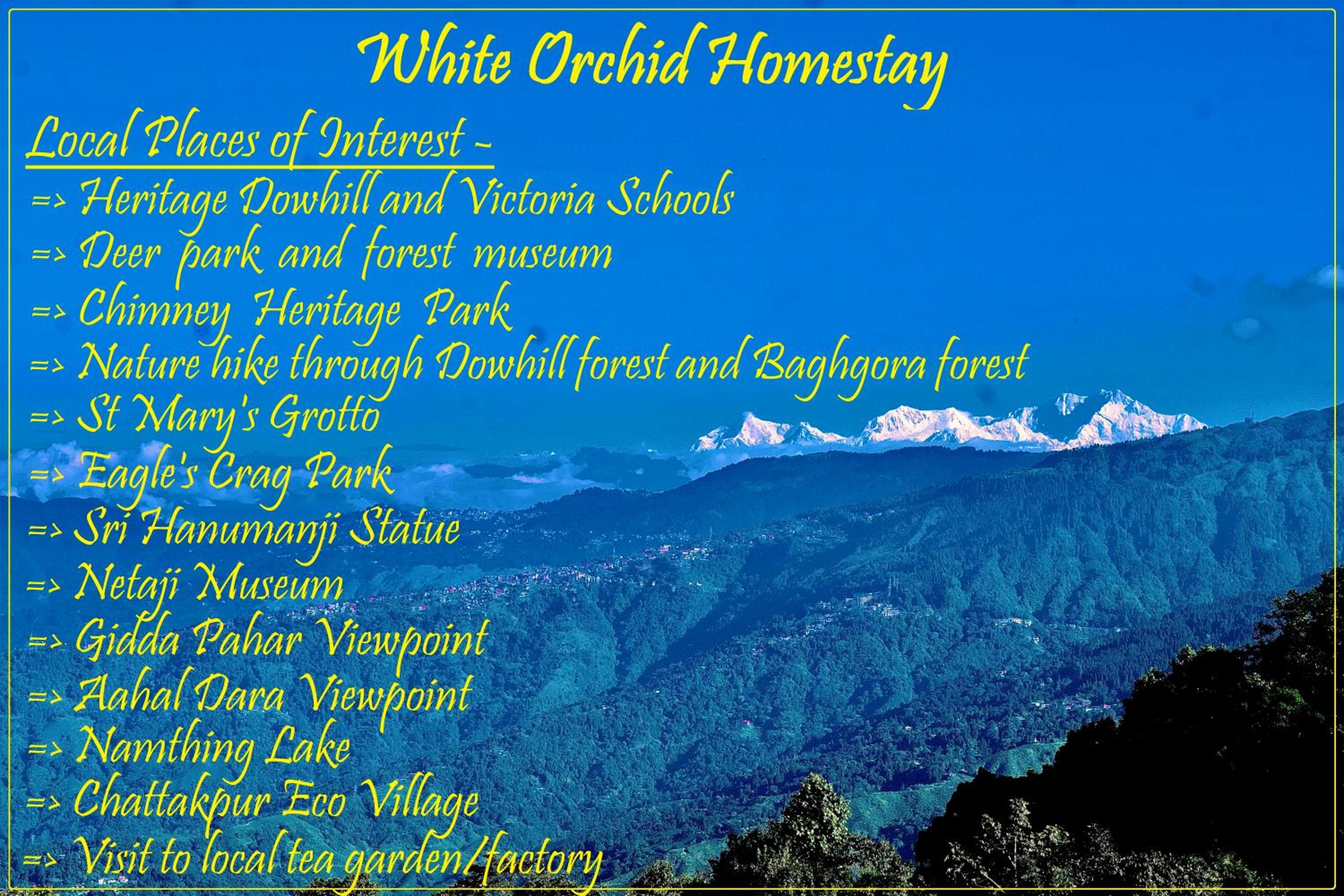 White Orchid Homestay