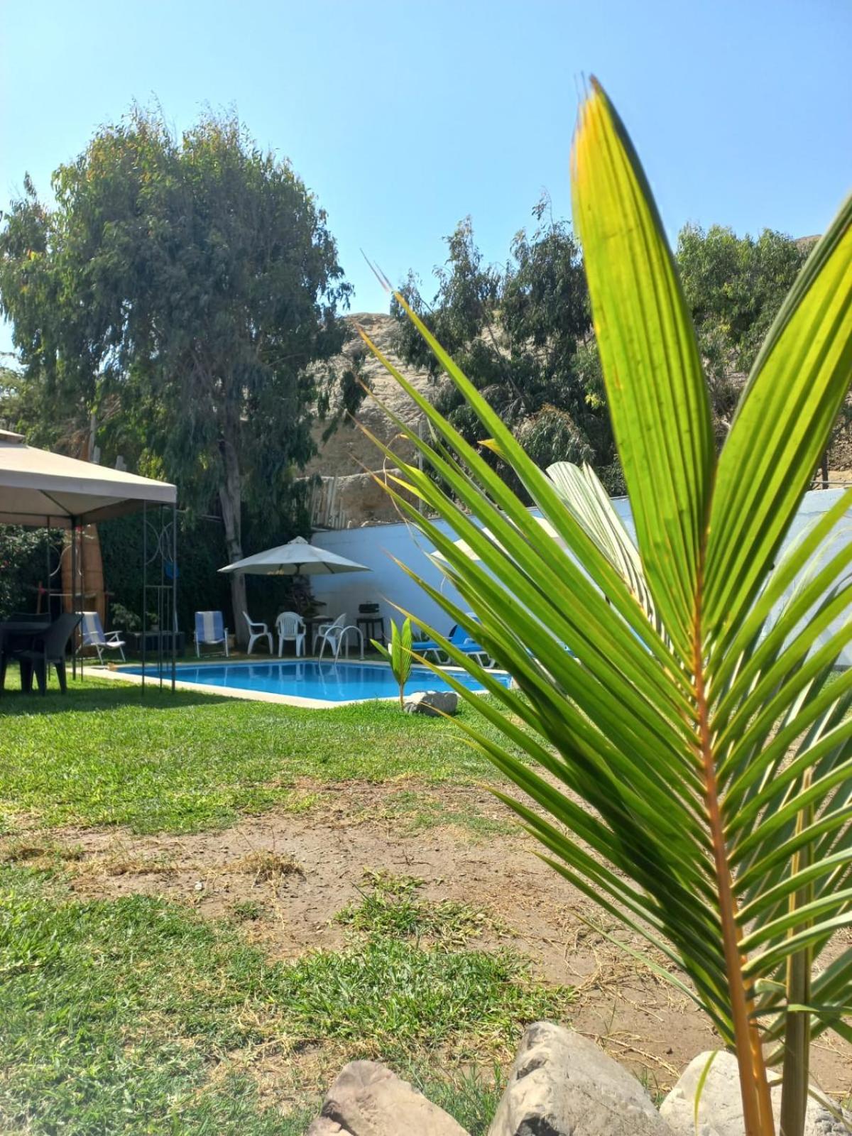 Montemar Apart Hotel - Playa Huanchaco