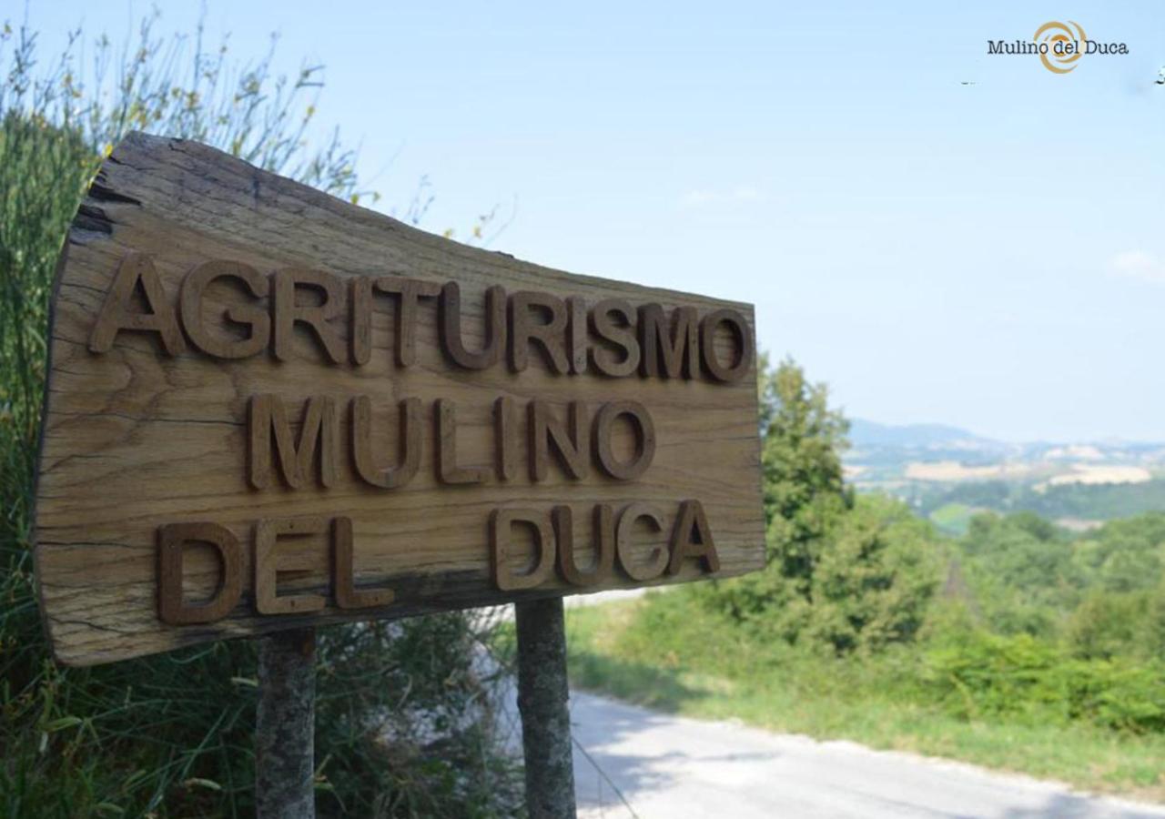 Agriturismo Mulino del Duca view 2