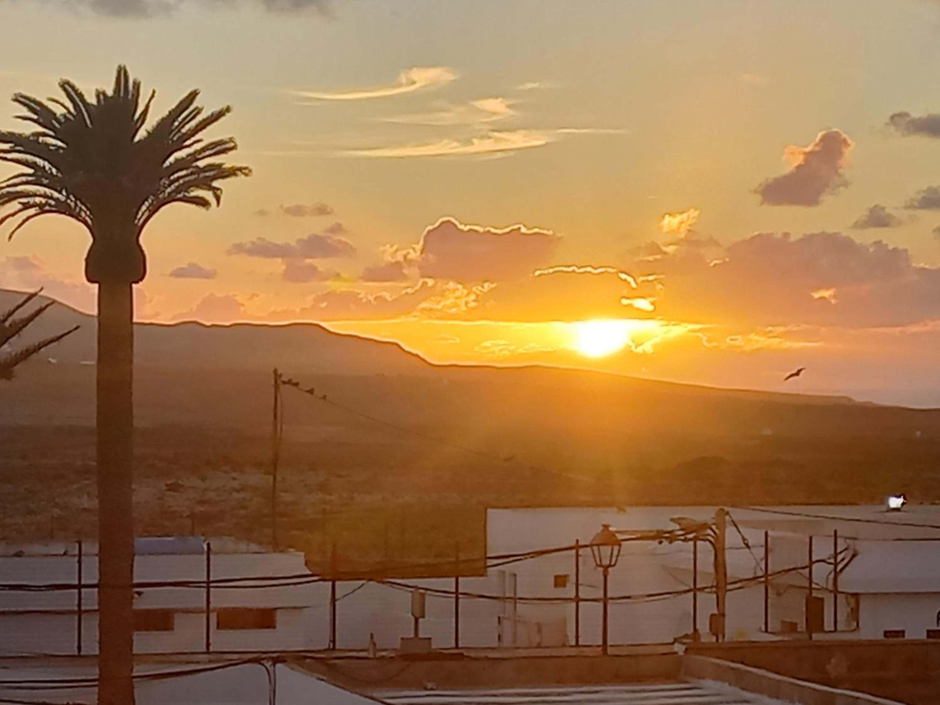 other
