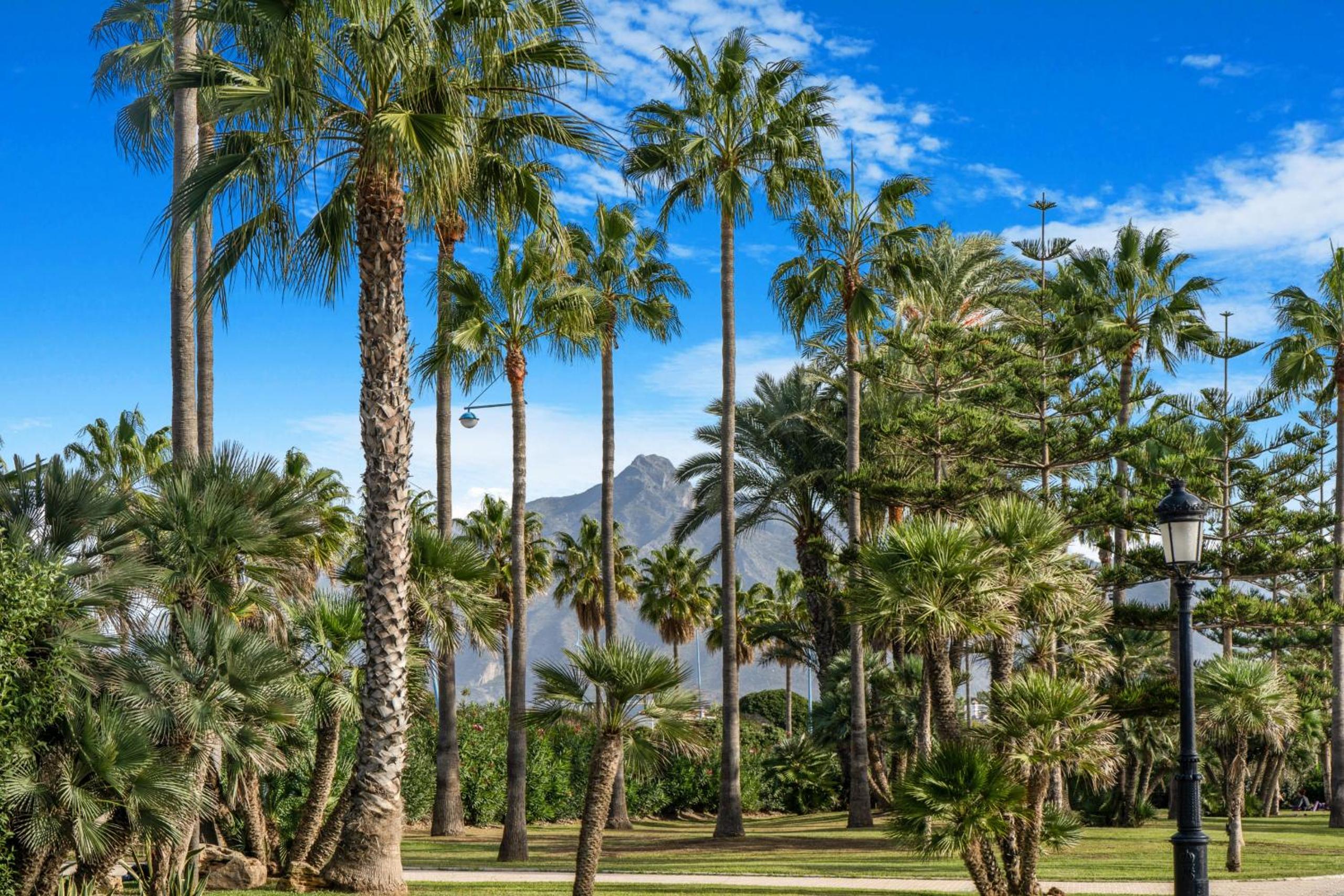 Las Adelfas by Finest Rentals