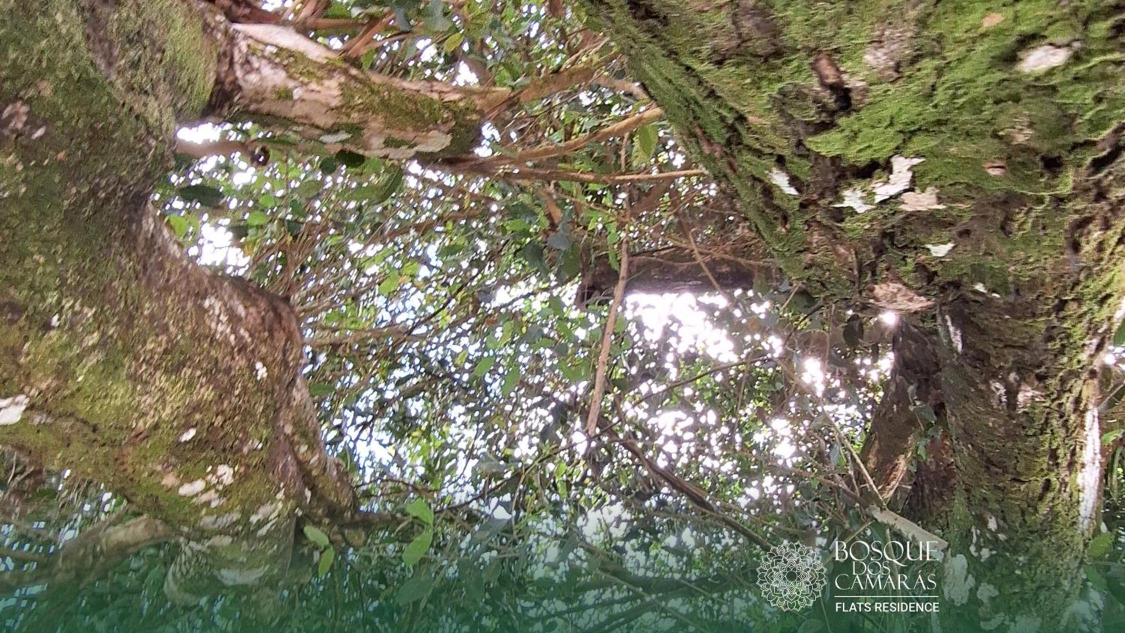 Ground Floor Flat in the Midst of Nature