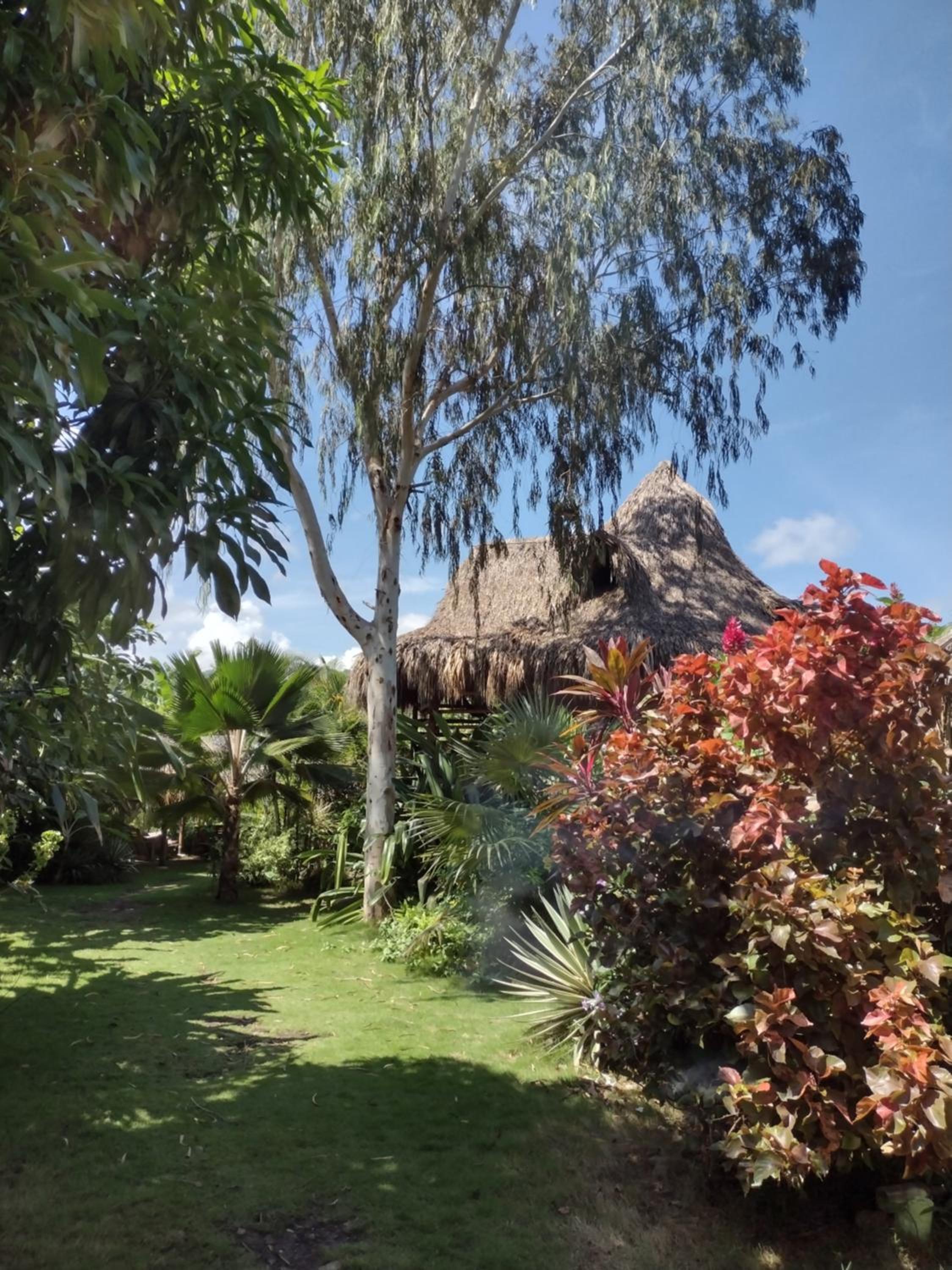 Sexto Sentido Cabanas  Pan Frances - Property Image 19