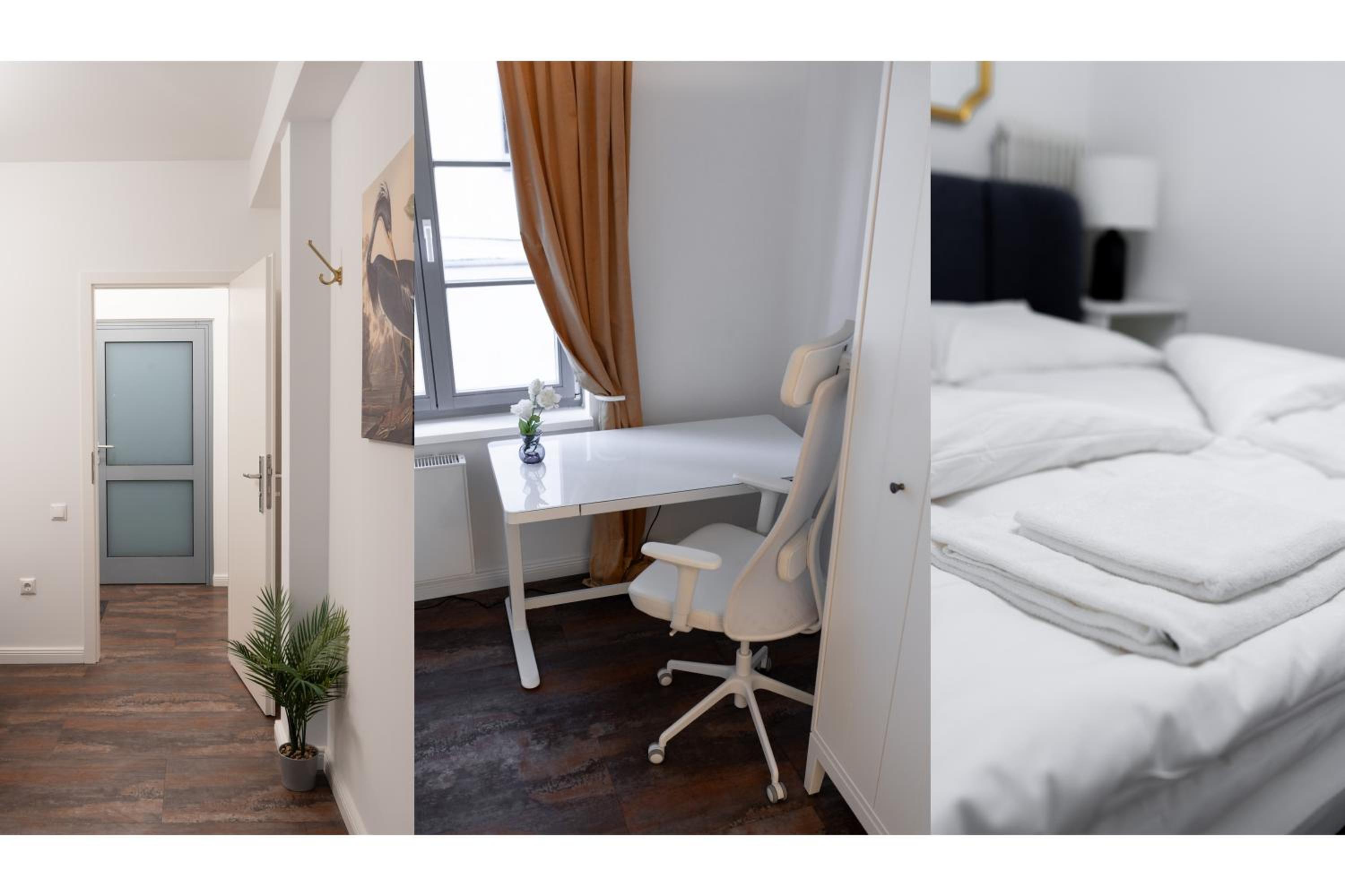 Zentral gelegenes Premium-Apartment mit viel Tageslicht