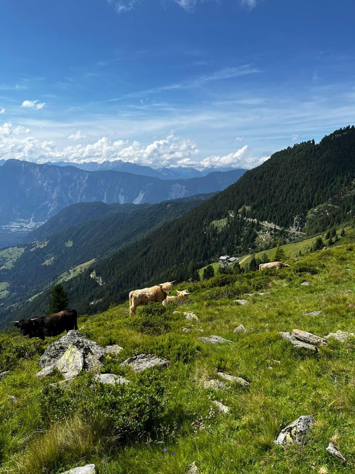 Die Acherberg Alm