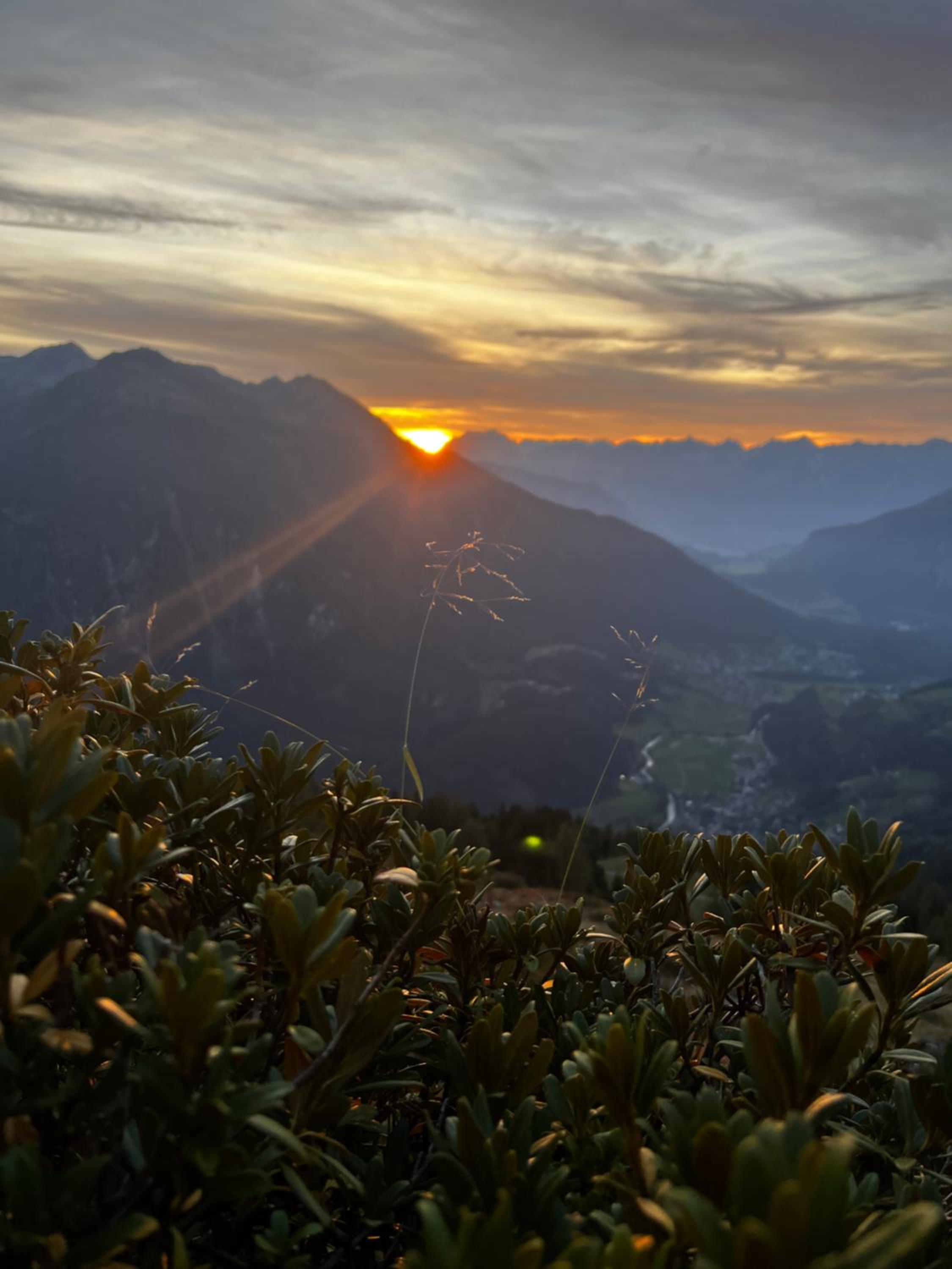 Die Acherberg Alm