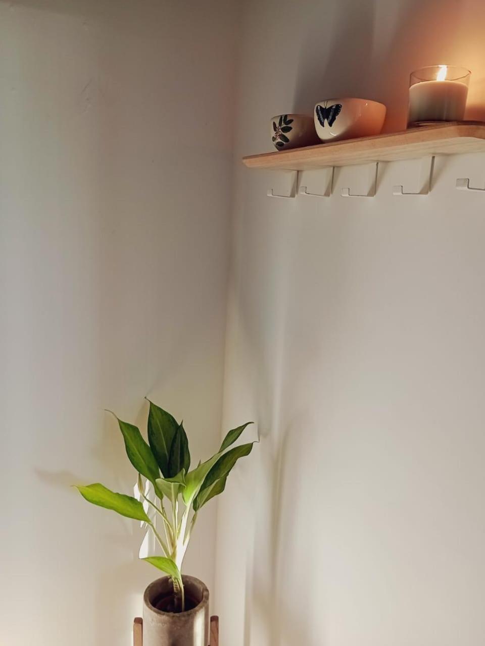 Casa Timbo: un abrazo al descanso