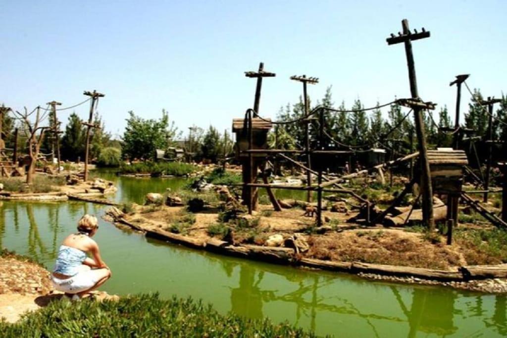 Photo 40