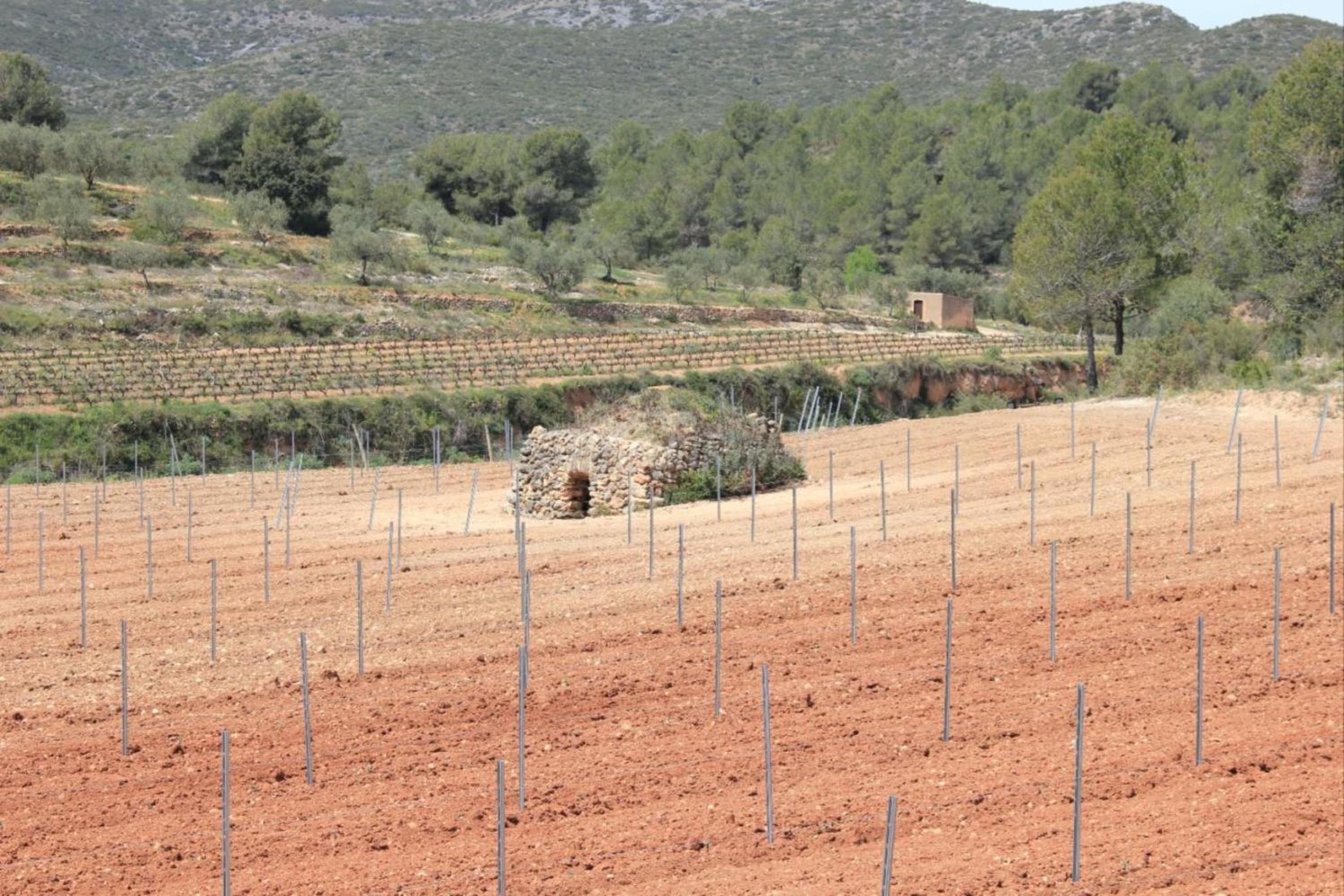 Mas Llagostera