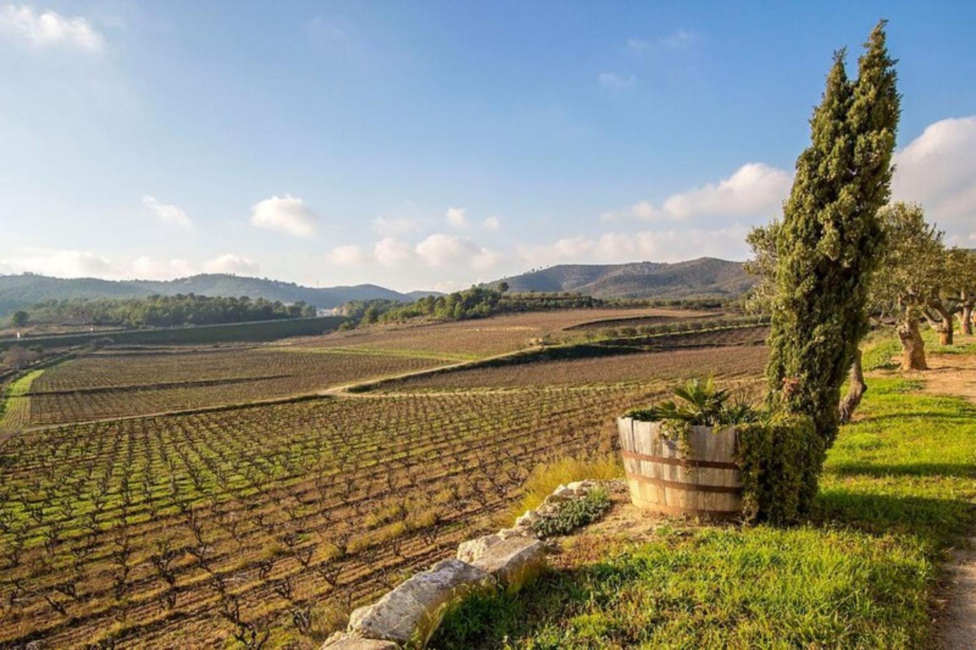 Mas Llagostera