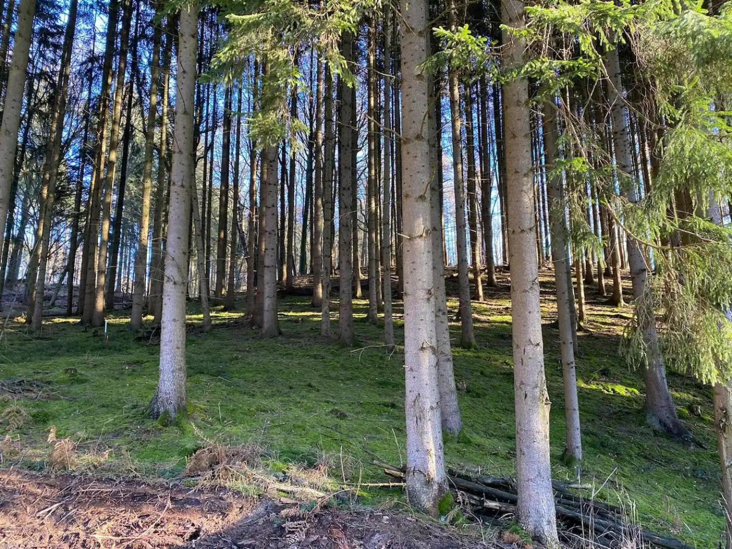 Ferienhaus Villa EMG Osnabrück Bielefeld in Preussisch-Oldendorf, Alleinlage, eigene Wald und See, Jacuzzi, Sauna für Familien Gruppen bis 20 Personen