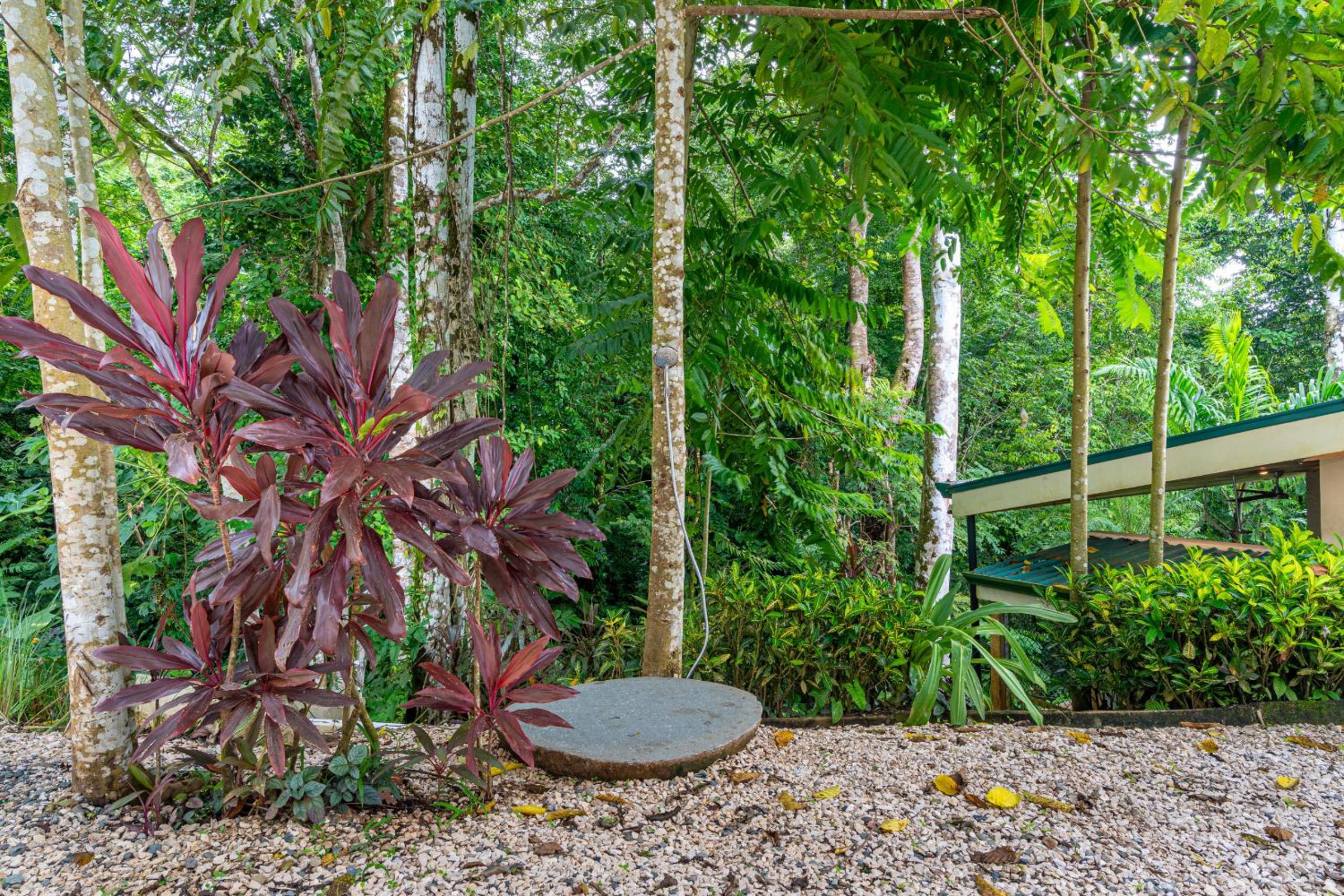 Casa Frenchie with Private Guesthouse - by Pura Villas