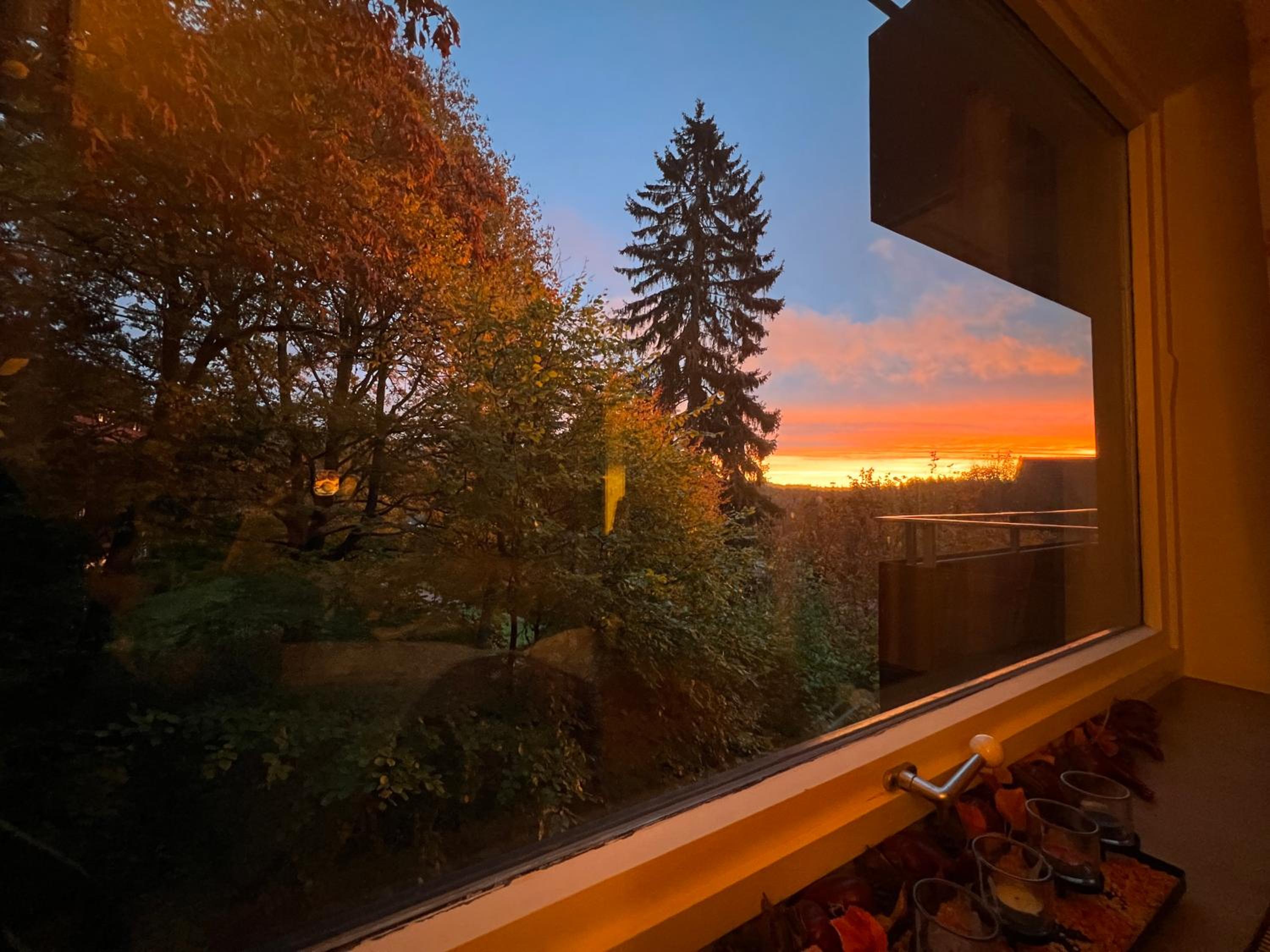 Moderne und zentral gelegene Ferienwohnung in Braunlage mit Rodelpiste und Start Ski Langlauf in 300 Metern Entfernung