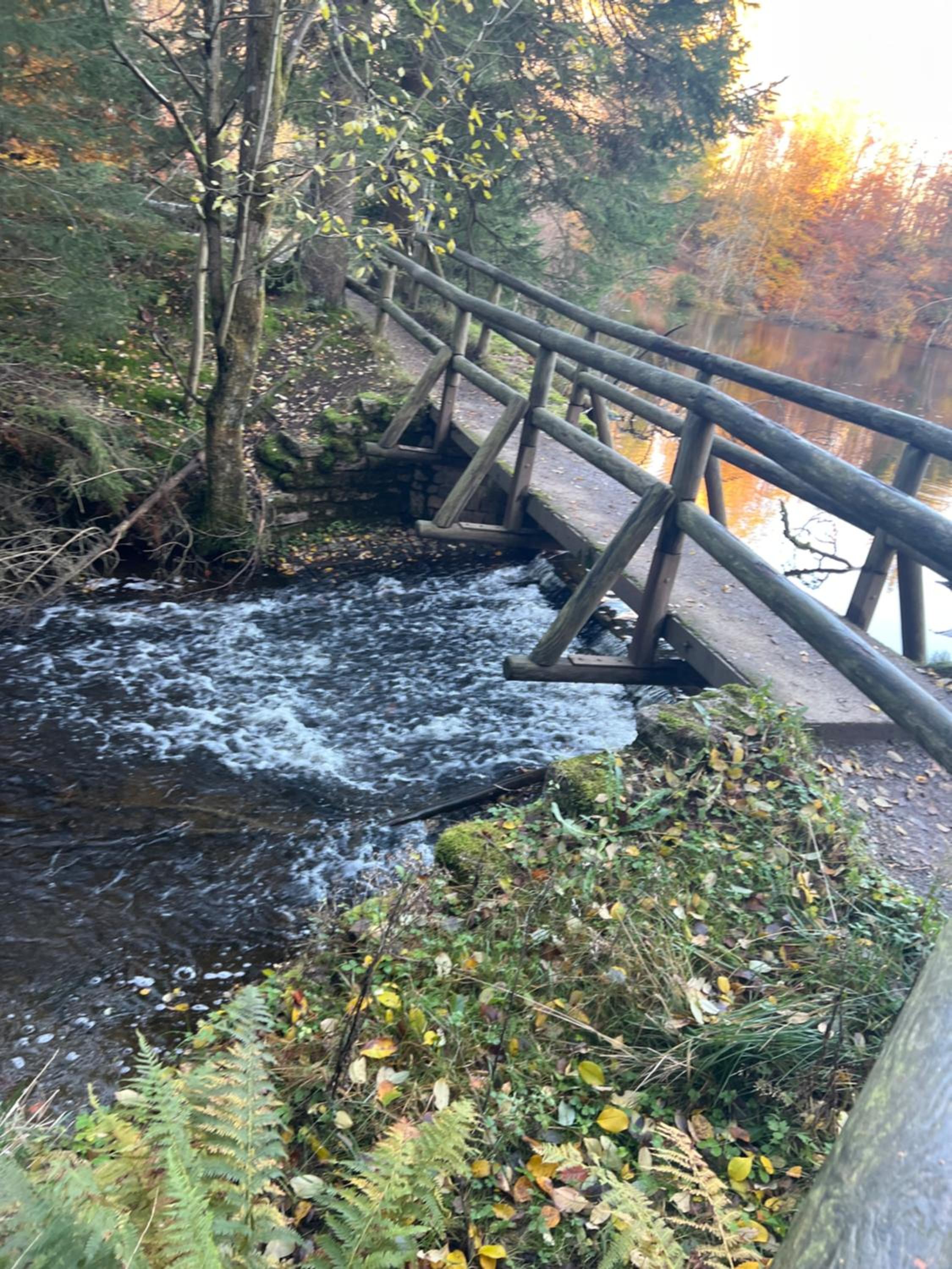 Moderne und zentral gelegene Ferienwohnung in Braunlage mit Rodelpiste und Start Ski Langlauf in 300 Metern Entfernung
