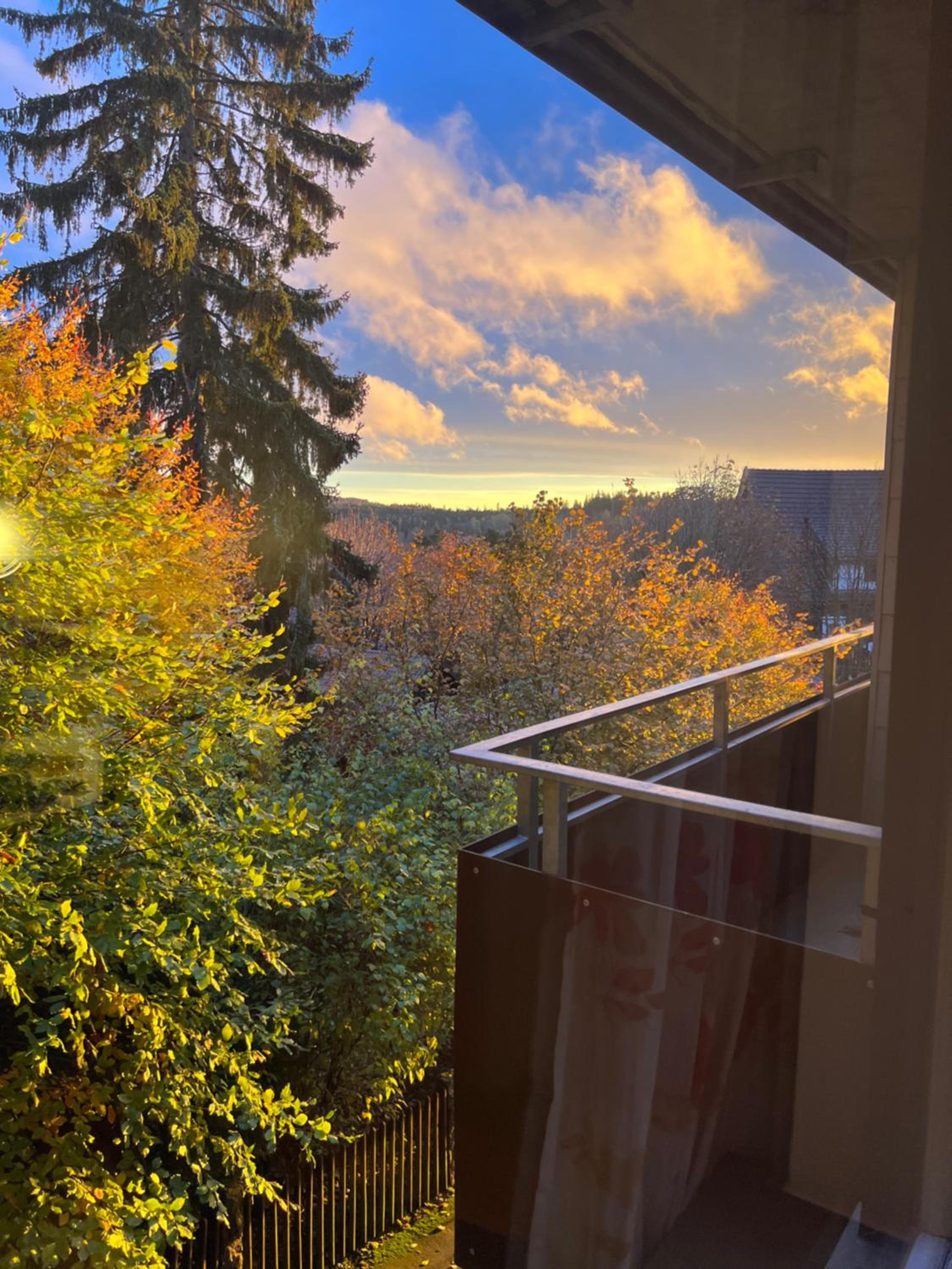 Moderne und zentral gelegene Ferienwohnung in Braunlage mit Rodelpiste und Start Ski Langlauf in 300 Metern Entfernung