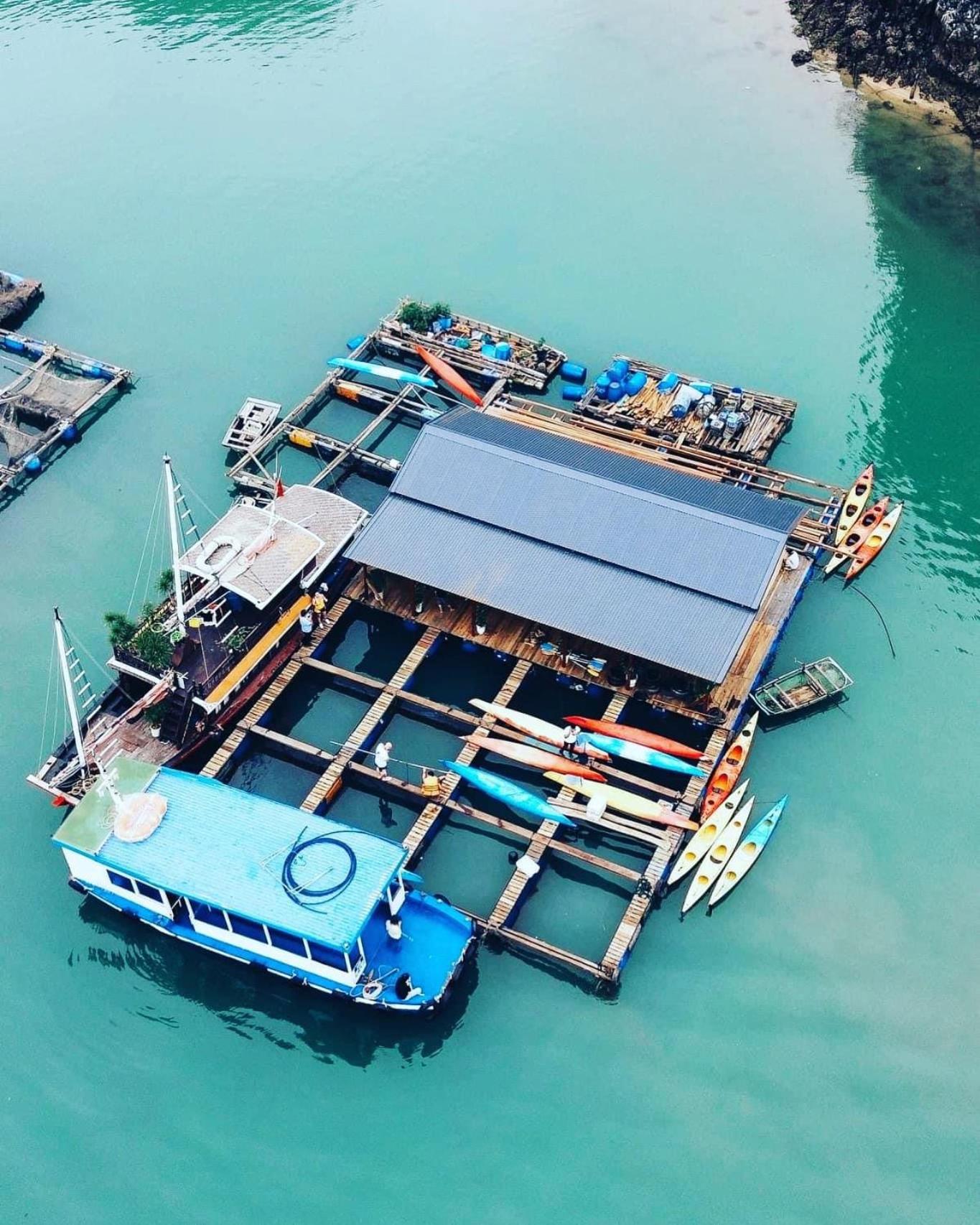 Eco Floating Farm Stay Cai Beo, photo 23