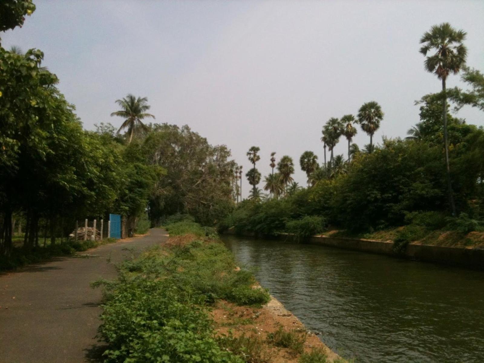 Photo 18