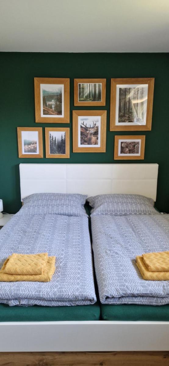 Apartmán U Ludvíčka
