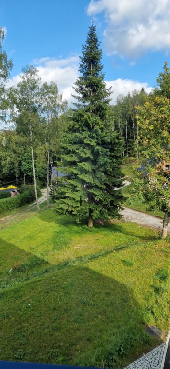 Apartmán U Ludvíčka