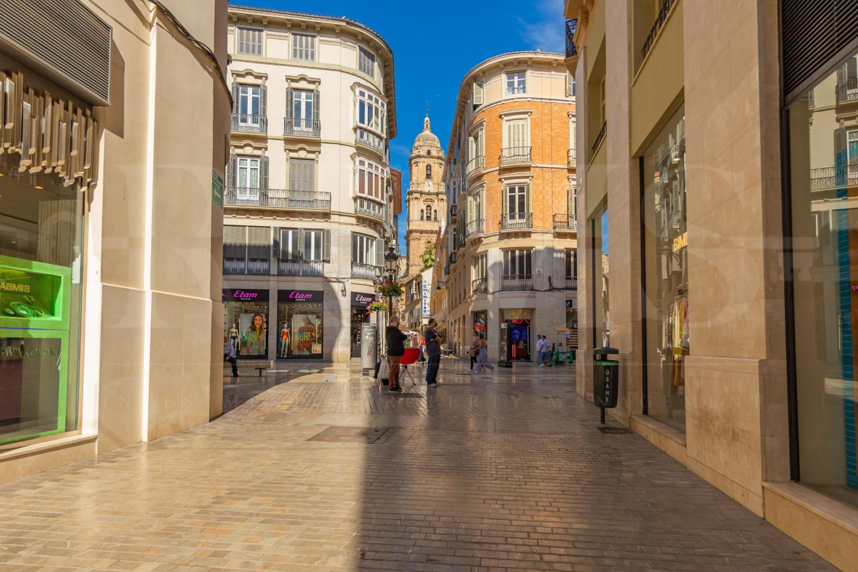 Cozy apartment near Plaza de la Merced by REMS