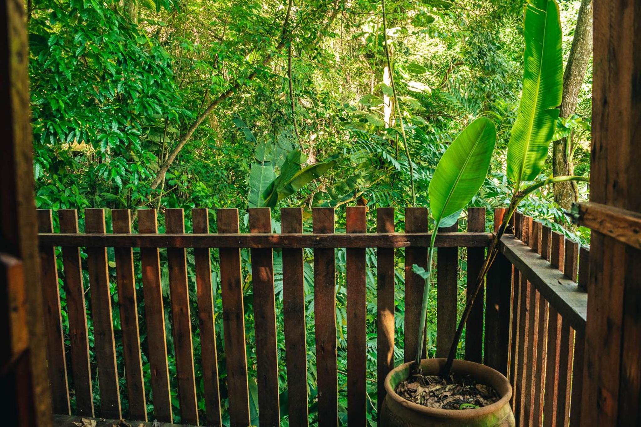 Fazenda Alegria Camping & Aventura