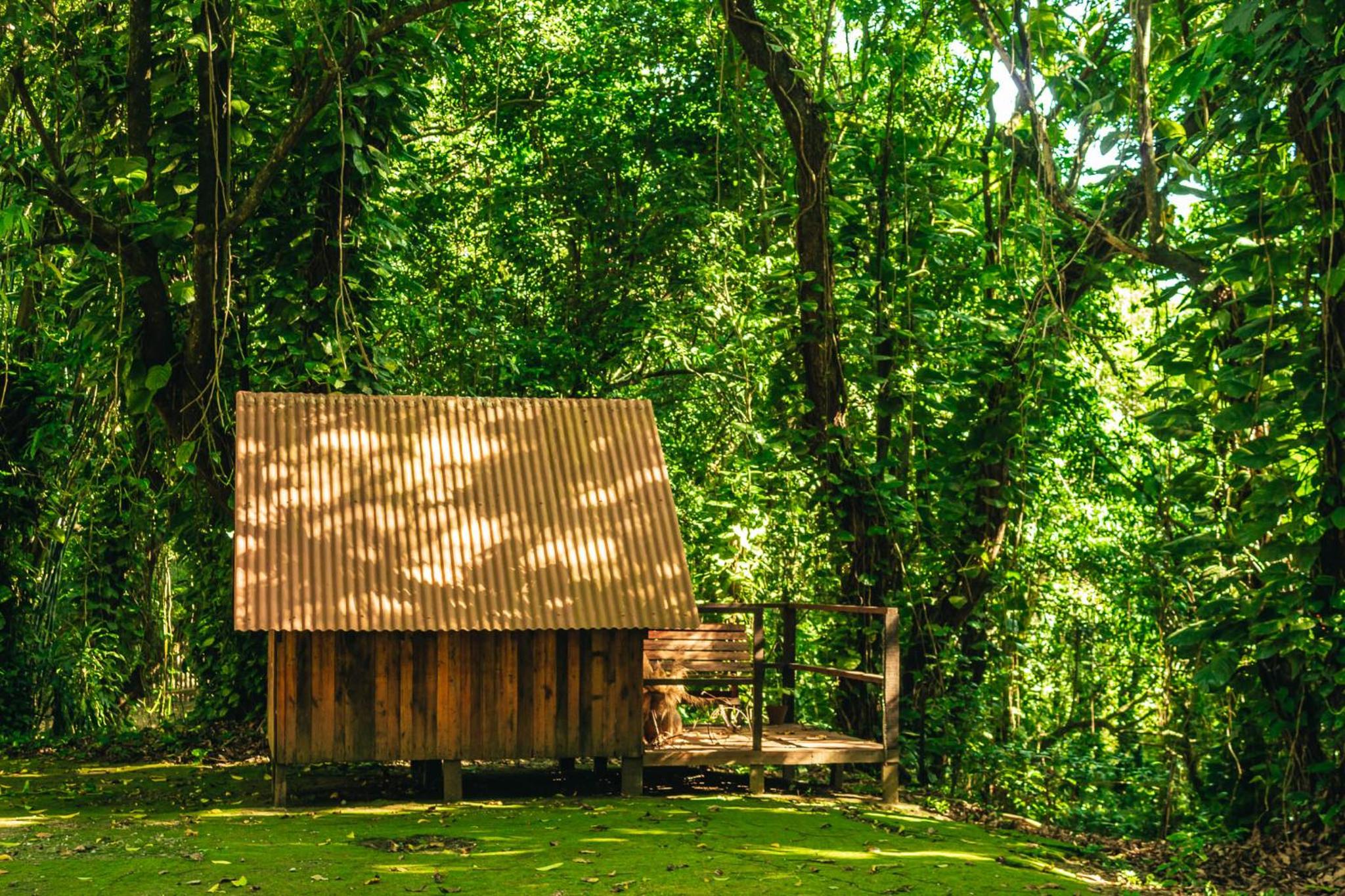 Fazenda Alegria Camping & Aventura