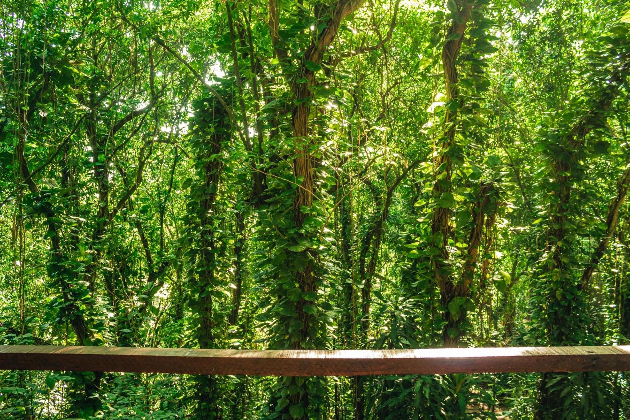 Fazenda Alegria Camping & Aventura