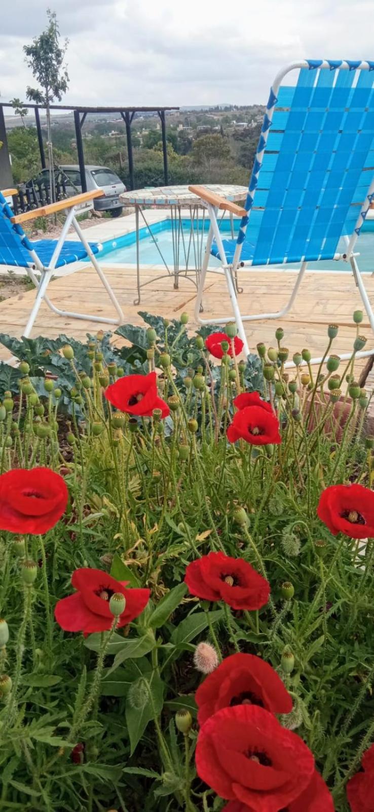 Casa Girasol