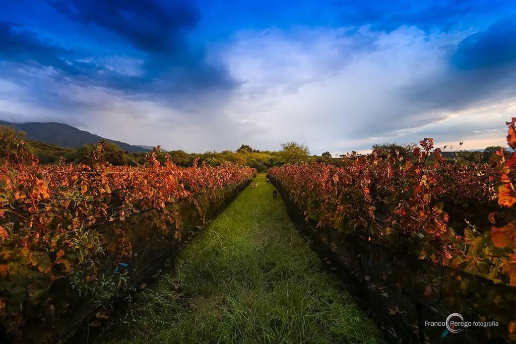 Cabaña romántica en la sierra