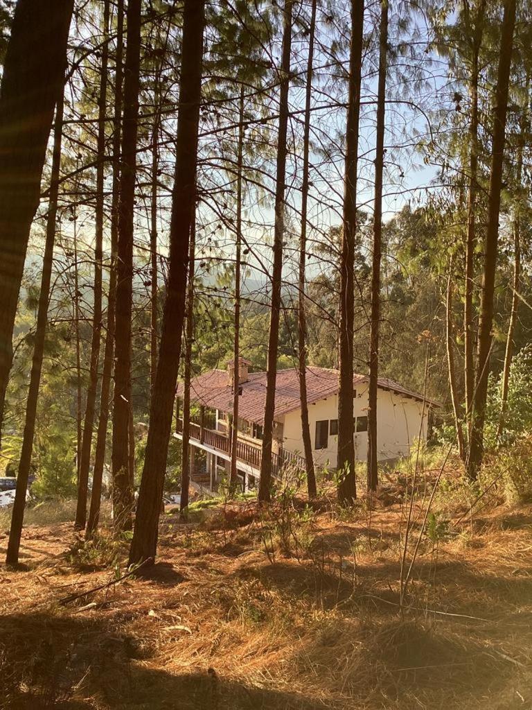 Cabaña Villalmira