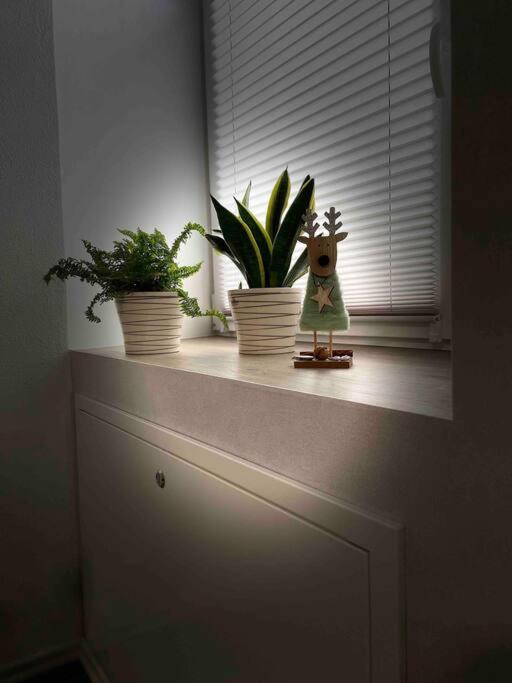 Hochwertige Ferienwohnung im Bauernhaus