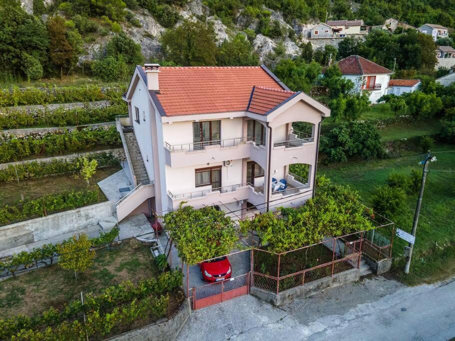 Pavle's Oasis