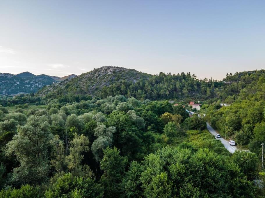 Pavle's Oasis