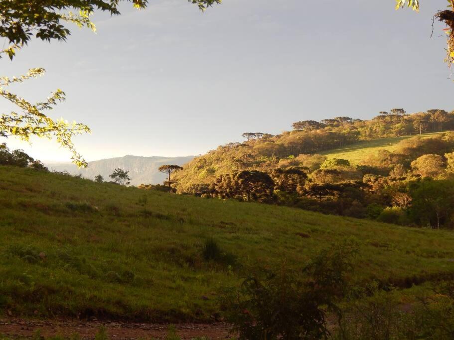 Casa com vista para o vale - Serra Gaúcha