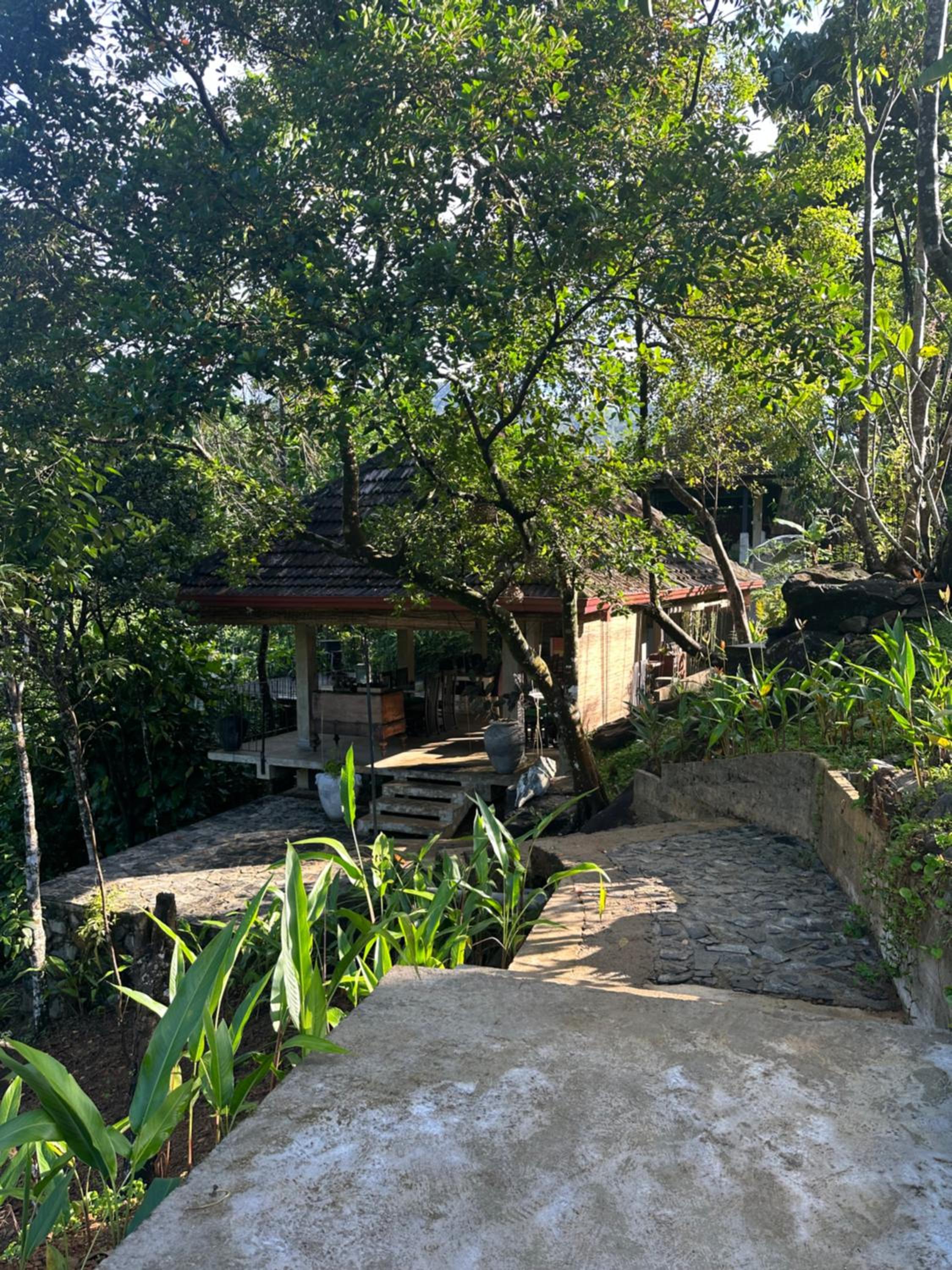 Photo 22