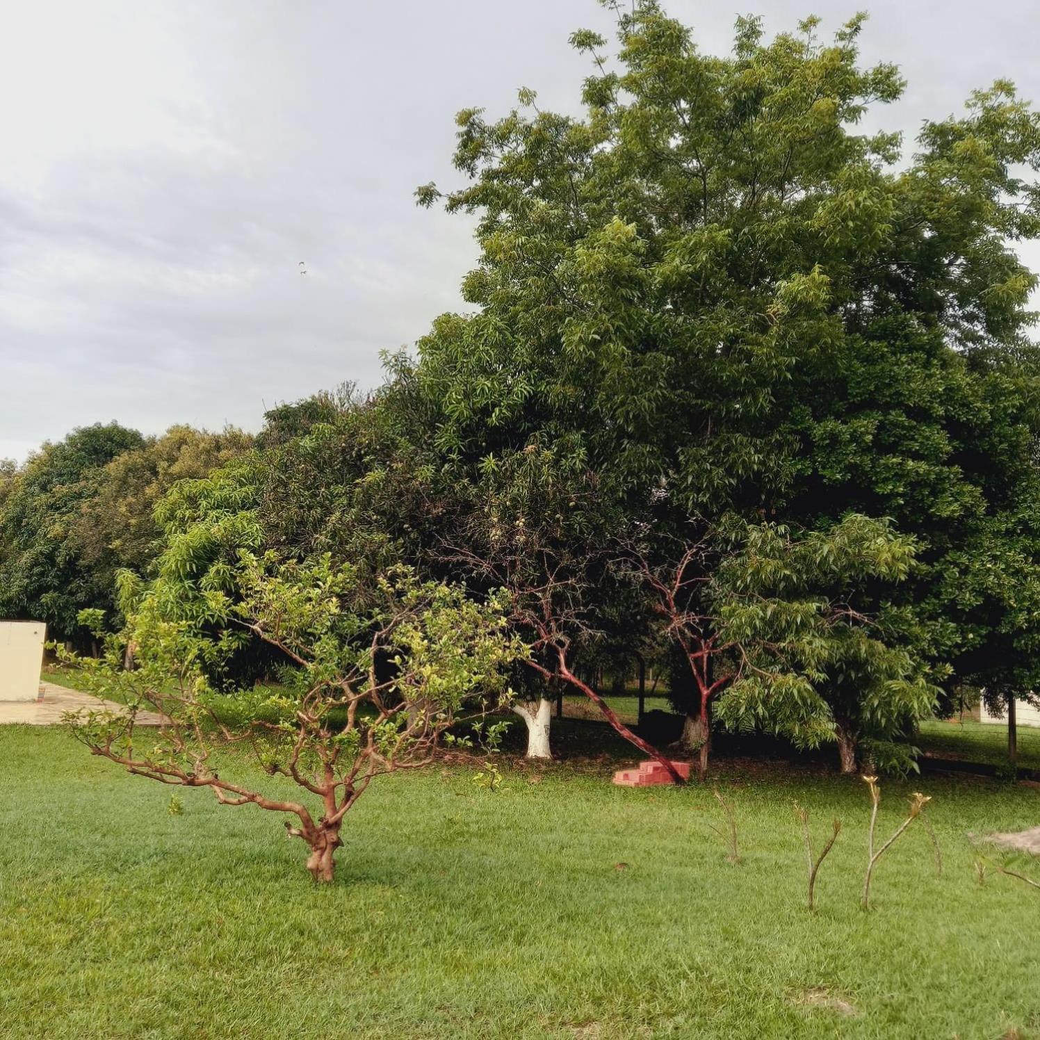Águas de São Pedro (Casinha Vermelha)