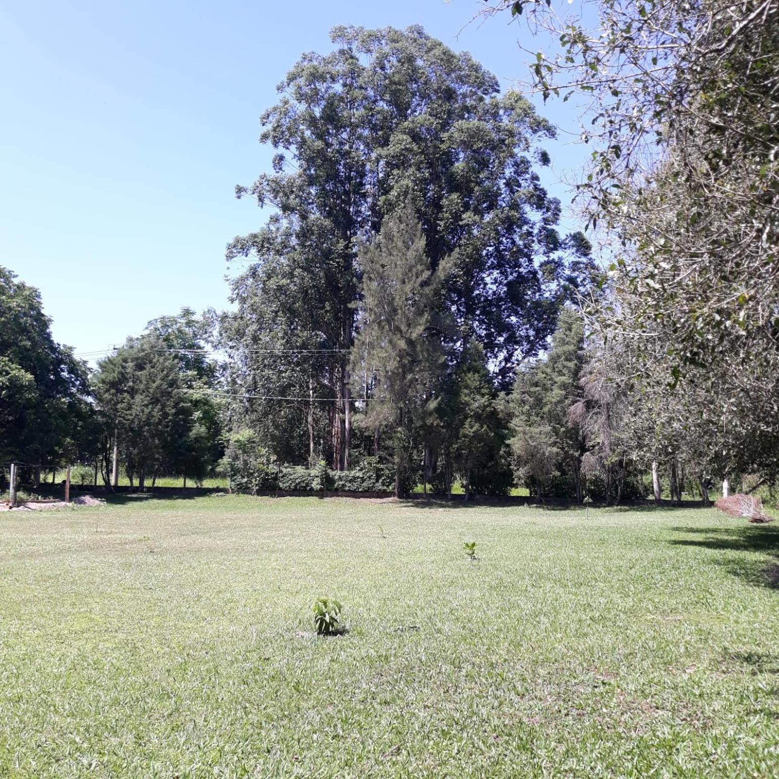 Águas de São Pedro (Casinha Vermelha)