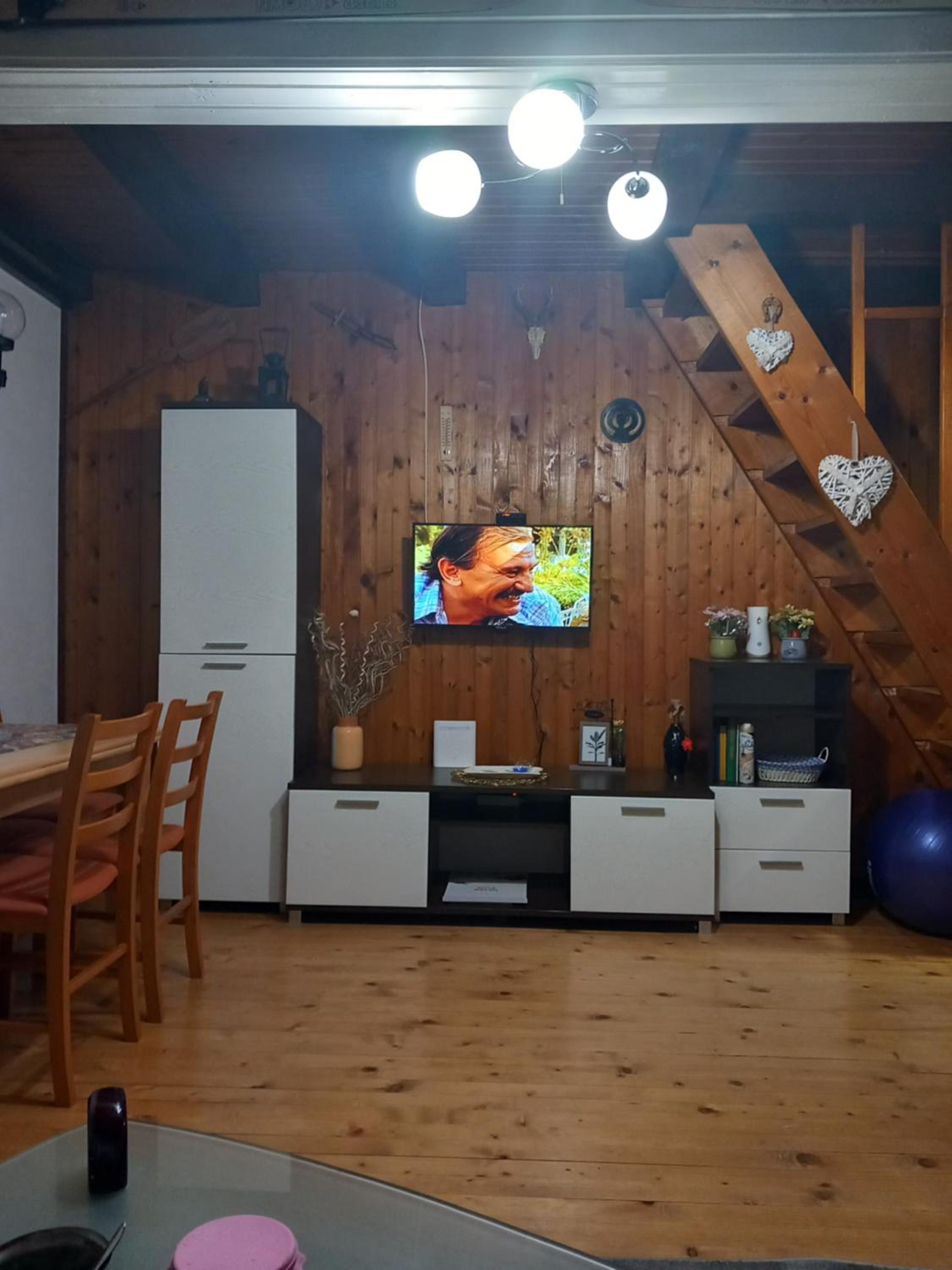 Vikendica Savic TKM