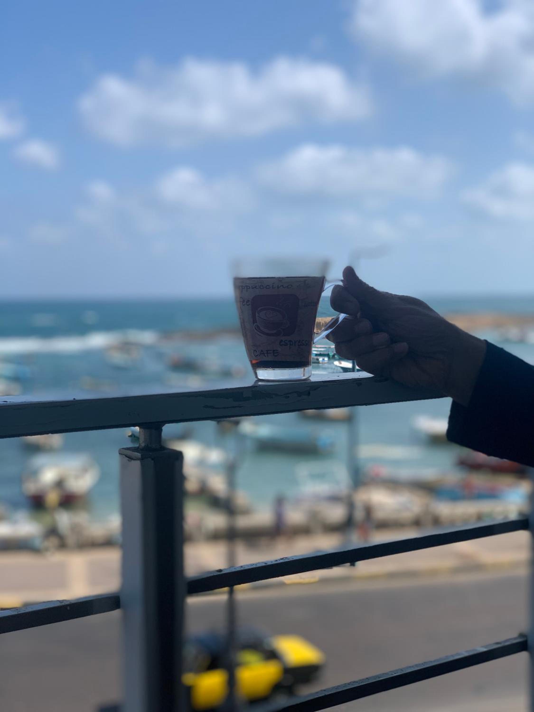 Luxury sea view apartment alexandria